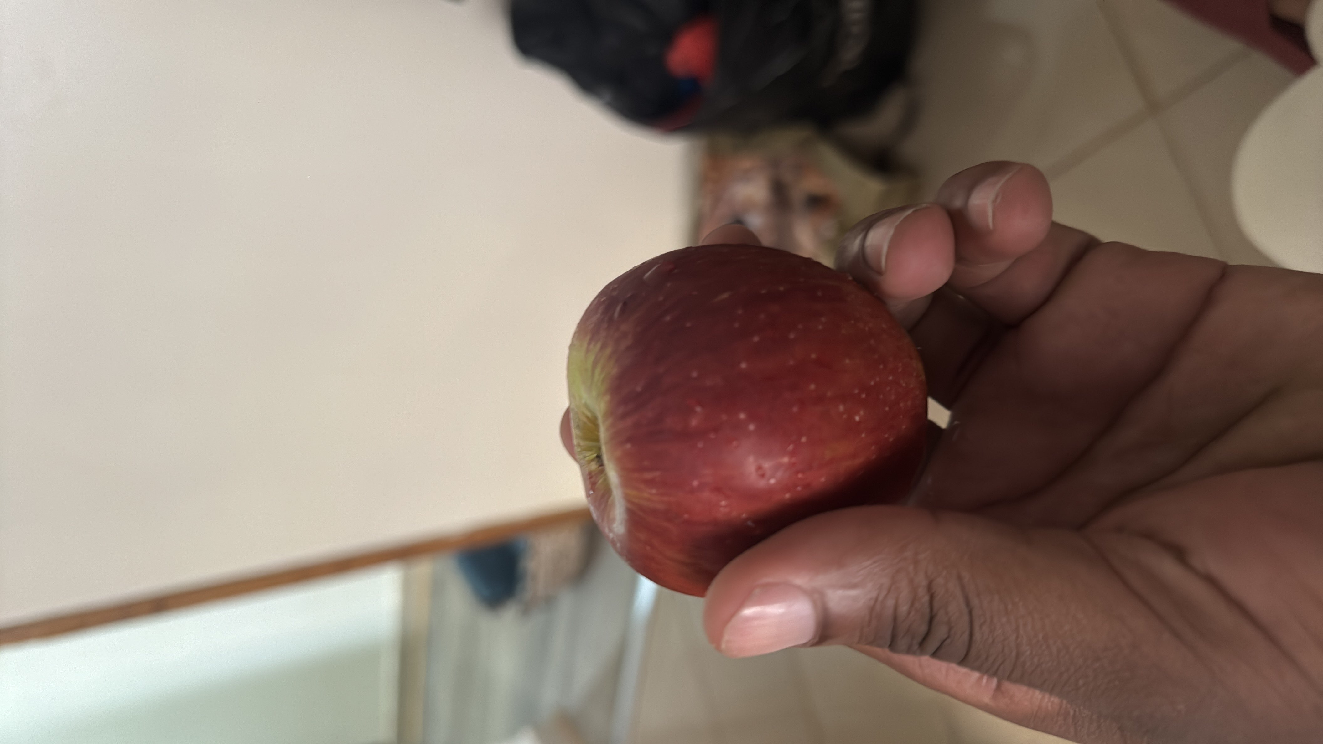 The image shows a fresh apple, which is a nutritious fruit rich in carbohydrates and low in fats and protein.