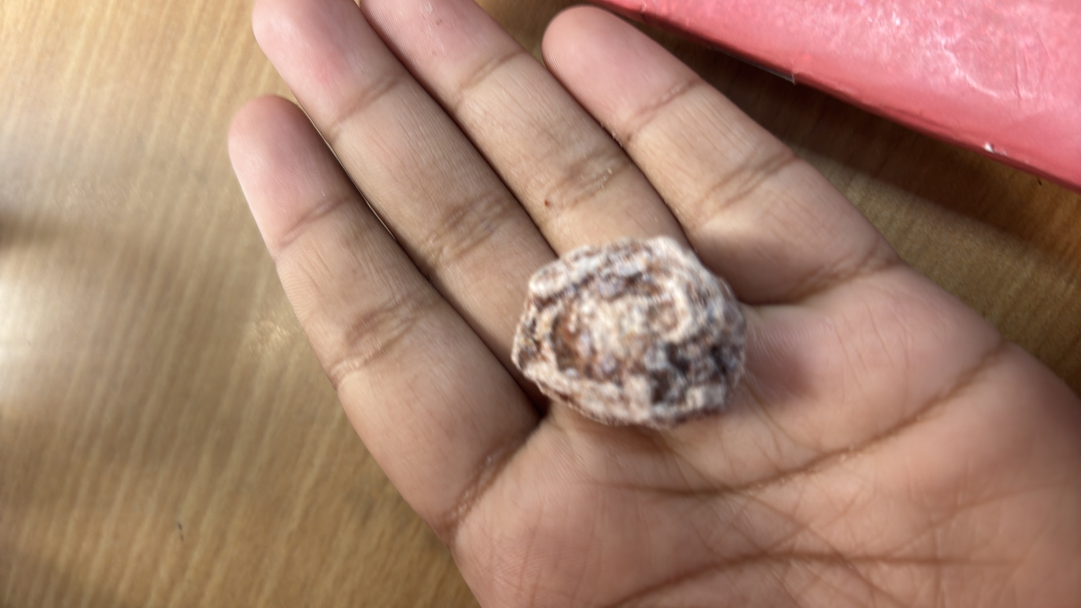 A single piece of dried fruit coated with a powdered substance, likely sugar or flour, providing a small amount of energy and nutrients.