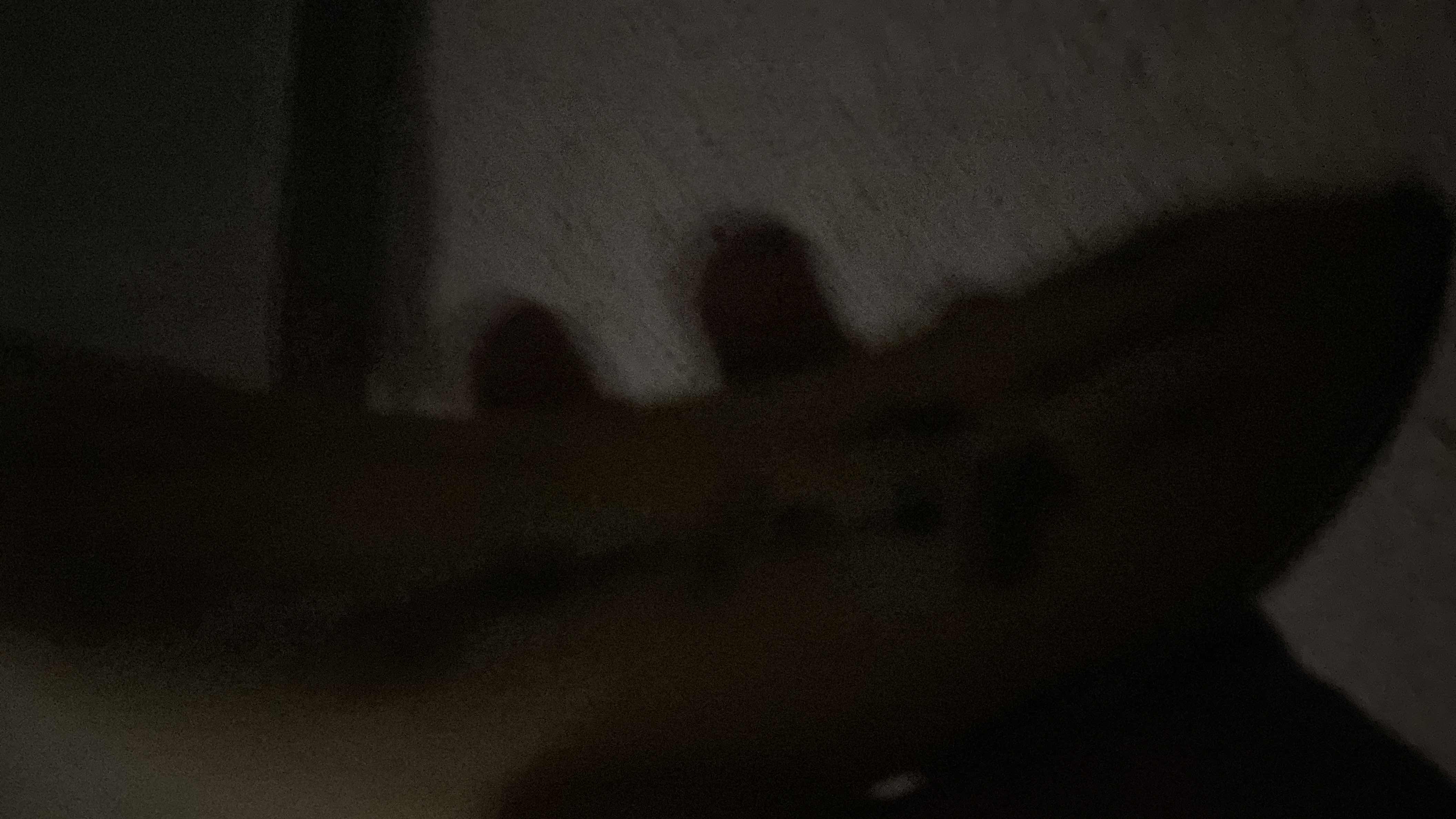 The image is too dark and unclear to extract any nutritional information.