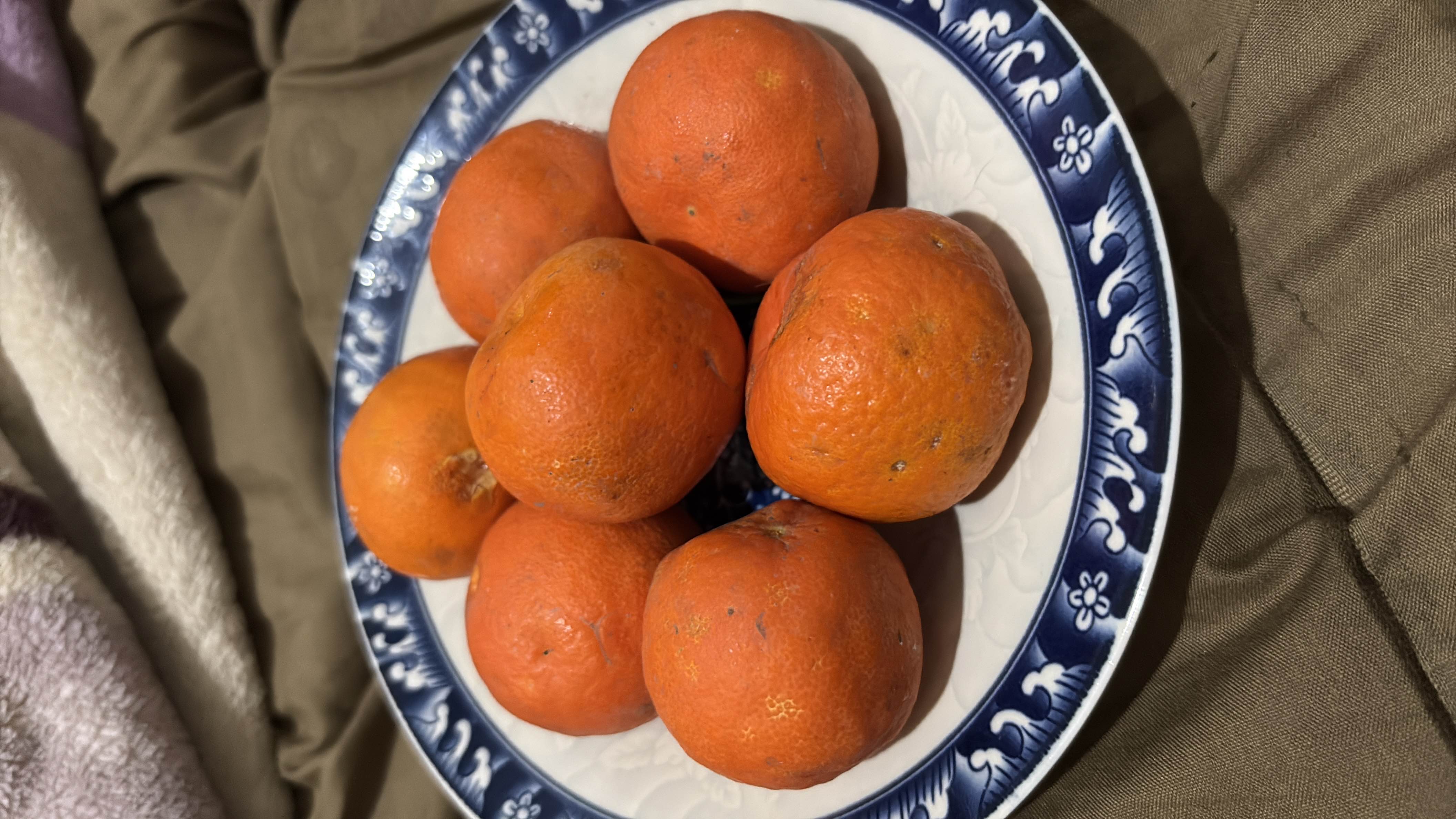 A plate of mandarin oranges, a low-calorie fruit rich in vitamin C and dietary fiber.