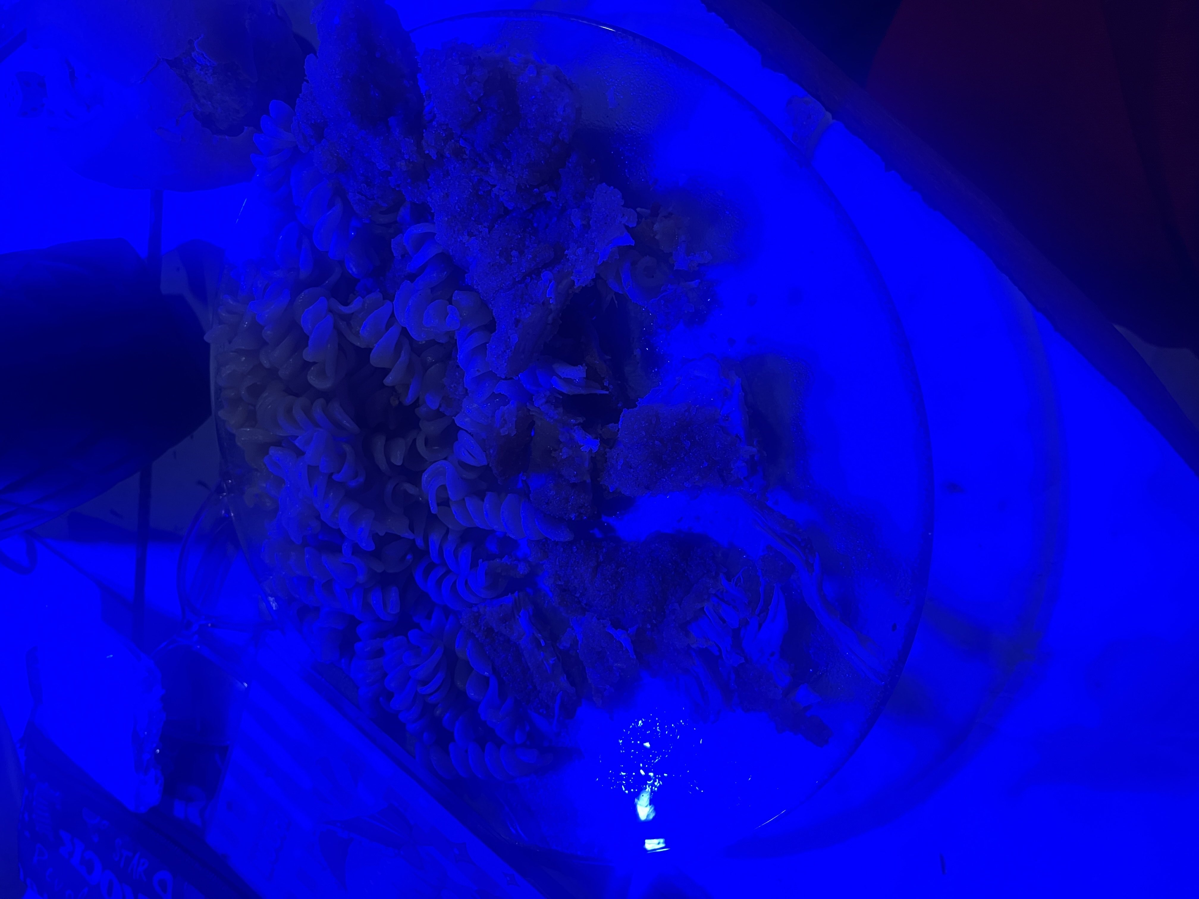 A plate containing pasta and fried chicken, providing a balanced mix of protein, carbohydrates, and fats.