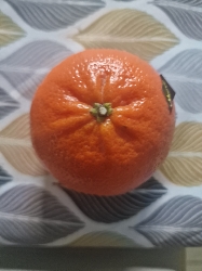 A fresh mandarin orange, rich in vitamin C and low in calories, making it a healthy snack option.