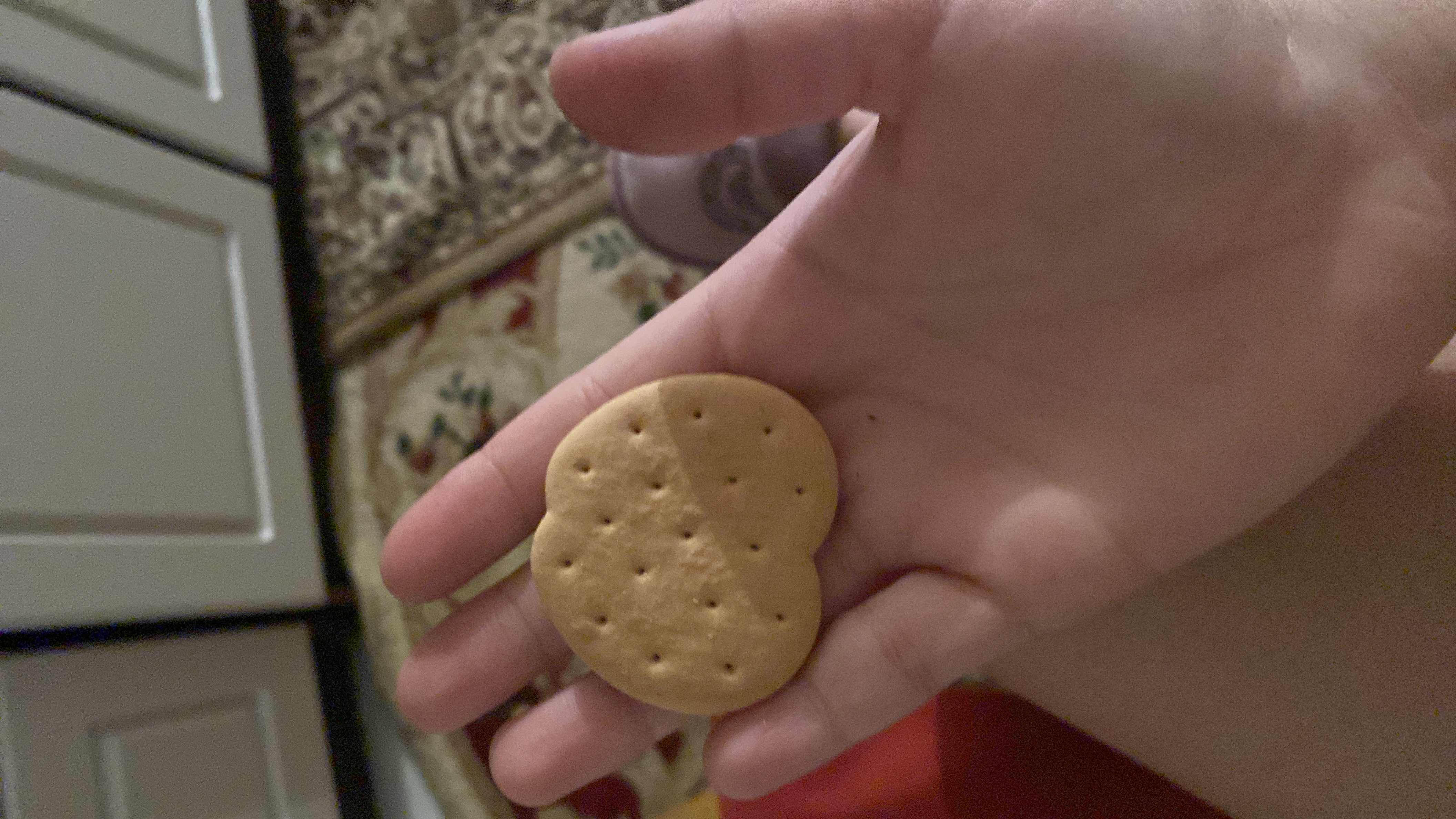 A small biscuit with a light golden-brown color, likely made from flour, sugar, and fats.