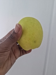 A fresh apple, which is a nutritious fruit rich in fiber and vitamins, commonly consumed as a healthy snack.