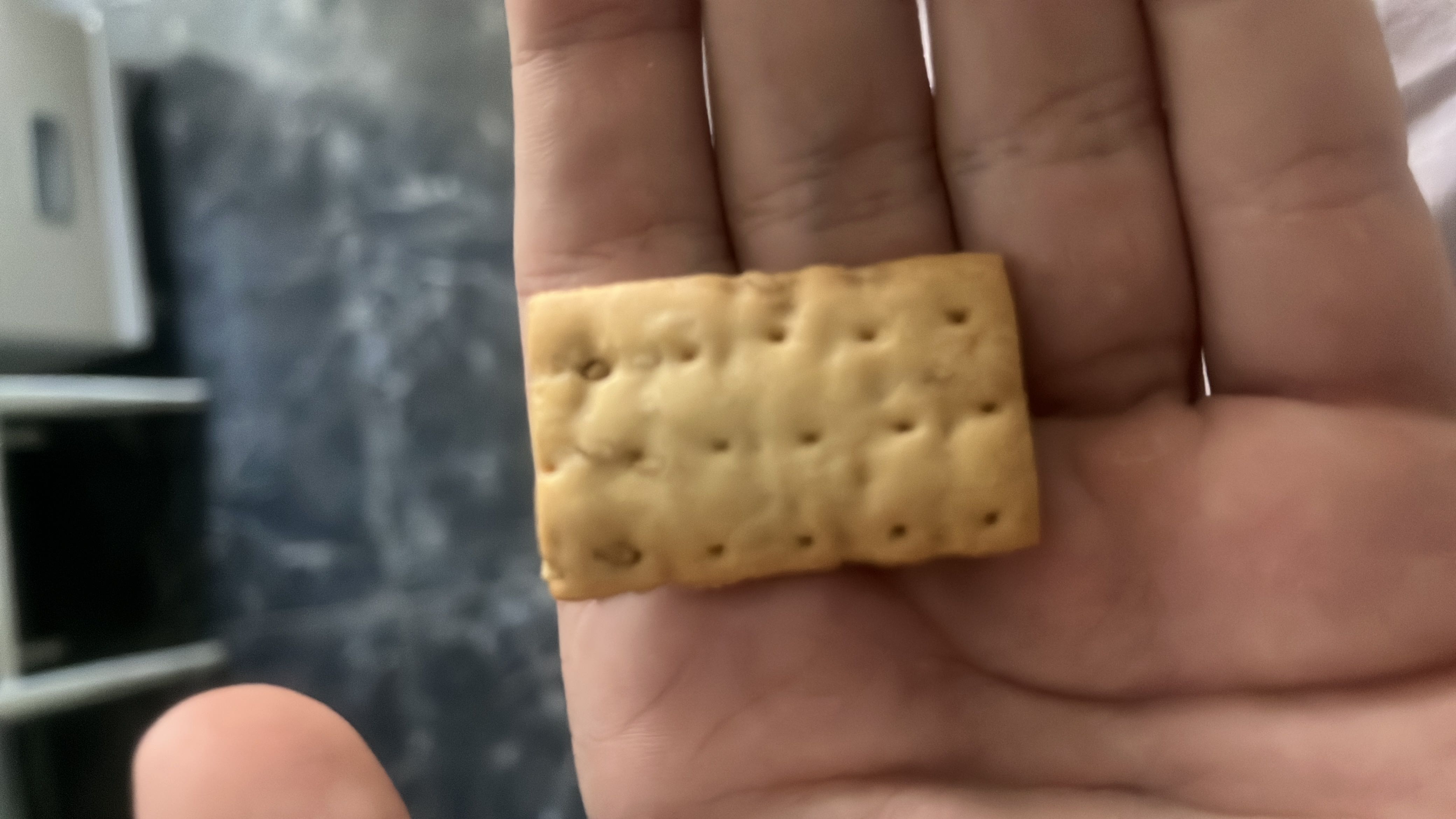 A small rectangular cracker with a golden-brown surface, likely made from wheat flour, oil, and sugar.