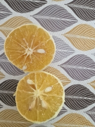 This image shows a sliced lemon, which is low in calories and rich in vitamin C, making it a healthy choice.