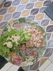 A healthy tuna sandwich with whole wheat bread, lettuce, and mayonnaise, providing a balanced mix of protein, carbs, and fats.