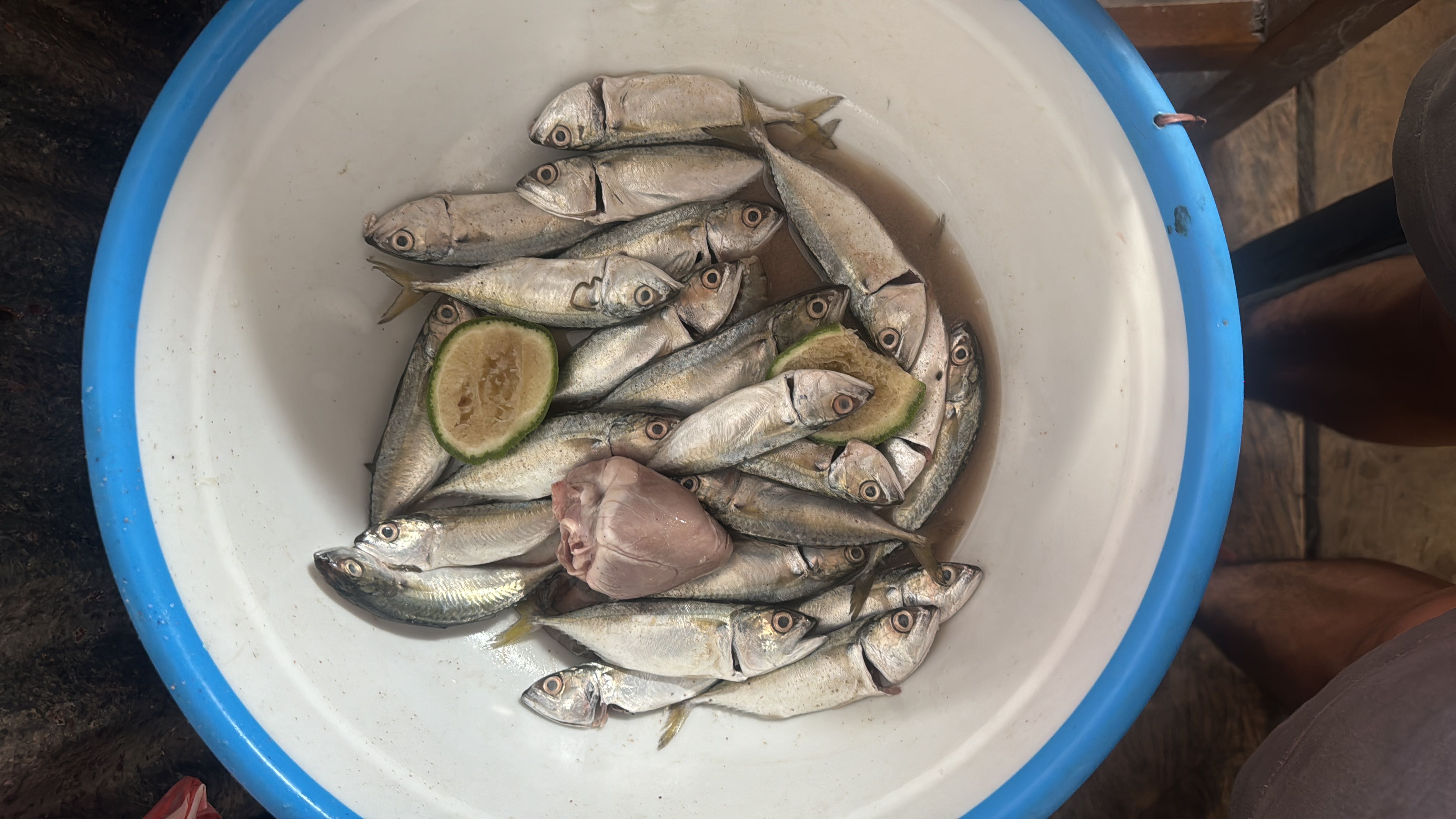 A bowl containing fresh fish, a raw heart, and sliced lime, providing a high-protein and nutrient-rich meal.