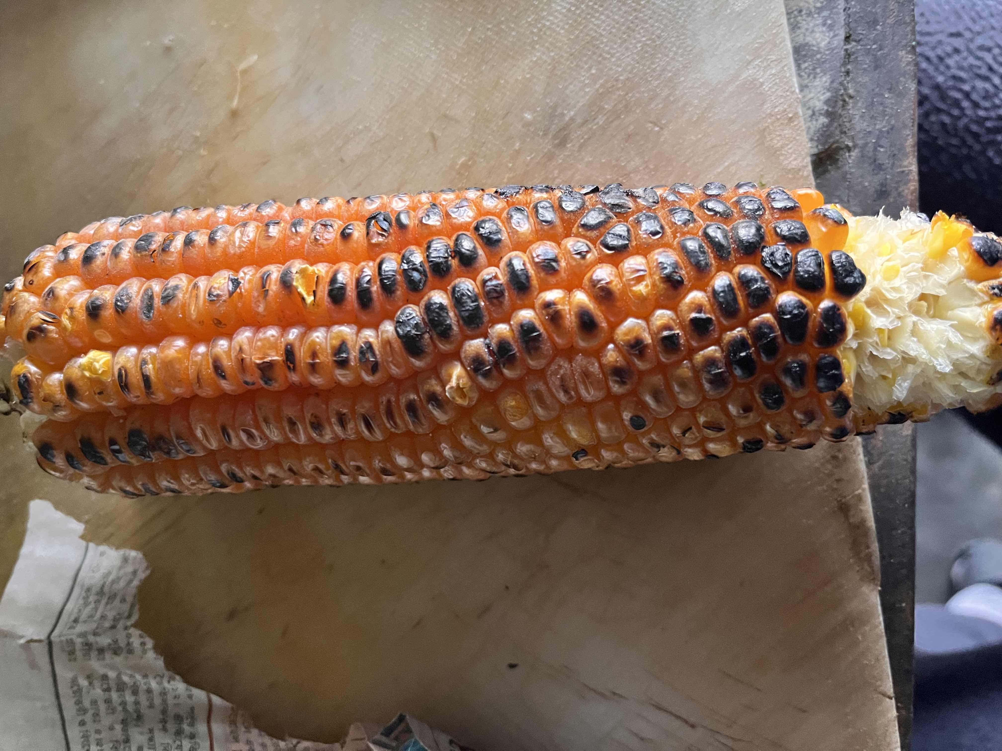 A roasted corn cob, providing a good source of carbohydrates and fiber with minimal fats.