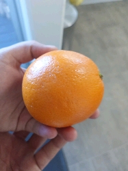 Fresh Orange