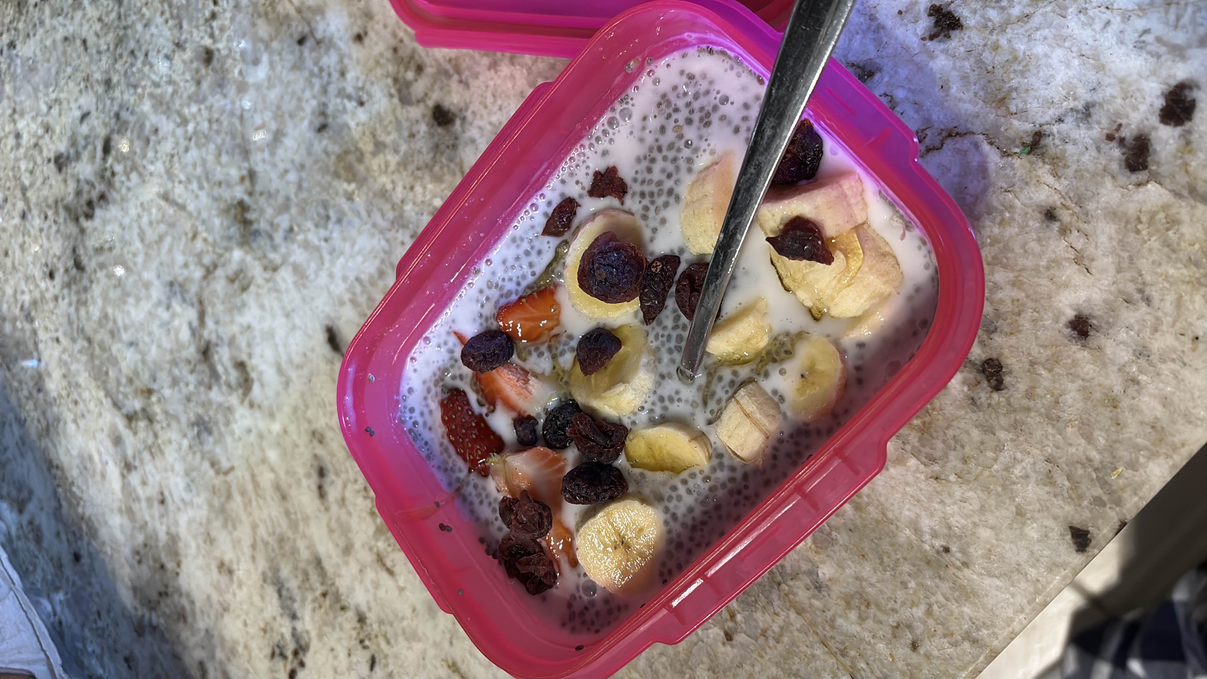 Chia Pudding with Fruits