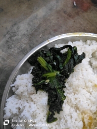 Rice with Spinach