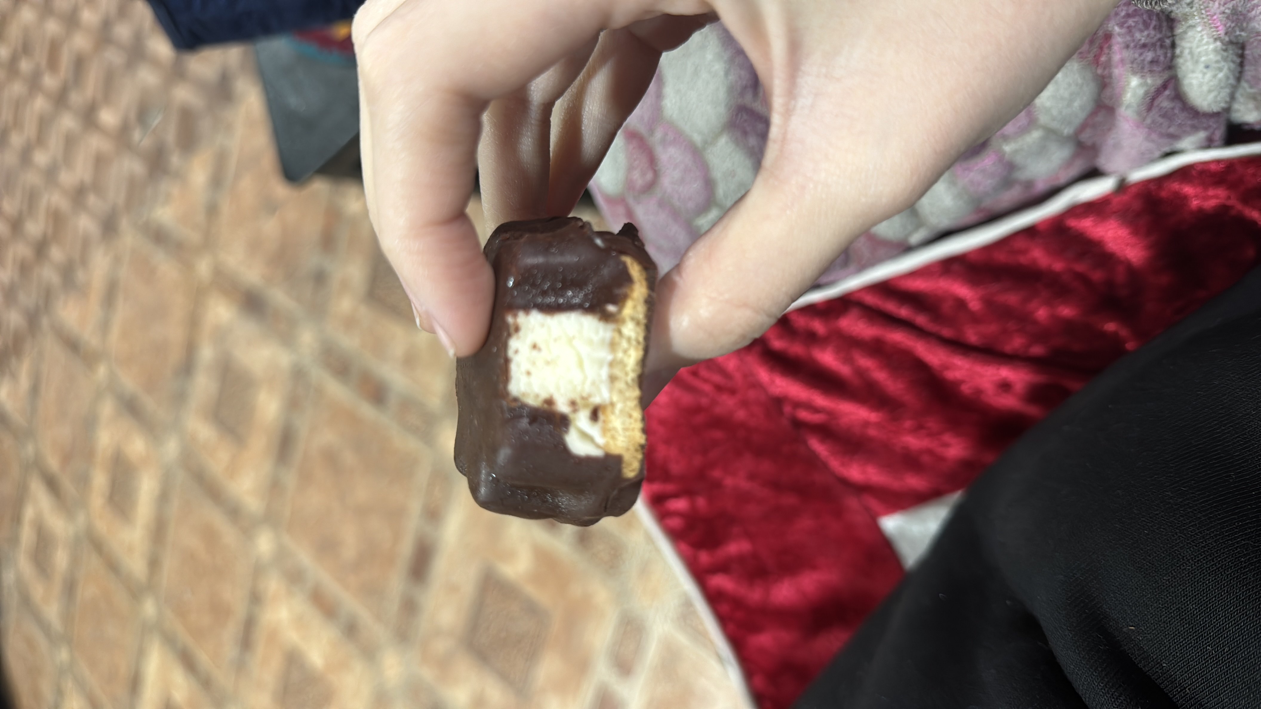 Chocolate Marshmallow Biscuit