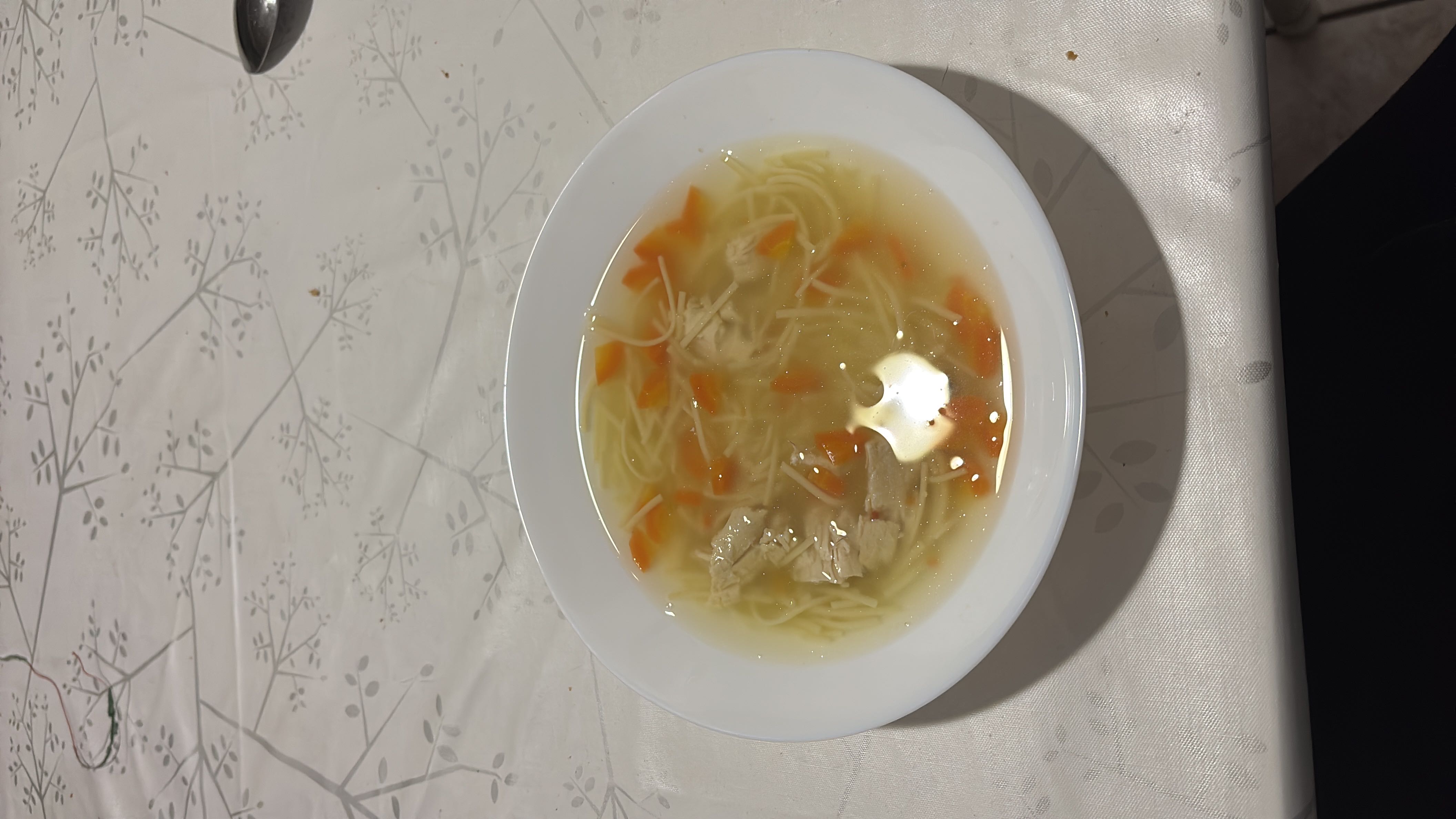 Chicken Noodle Soup
