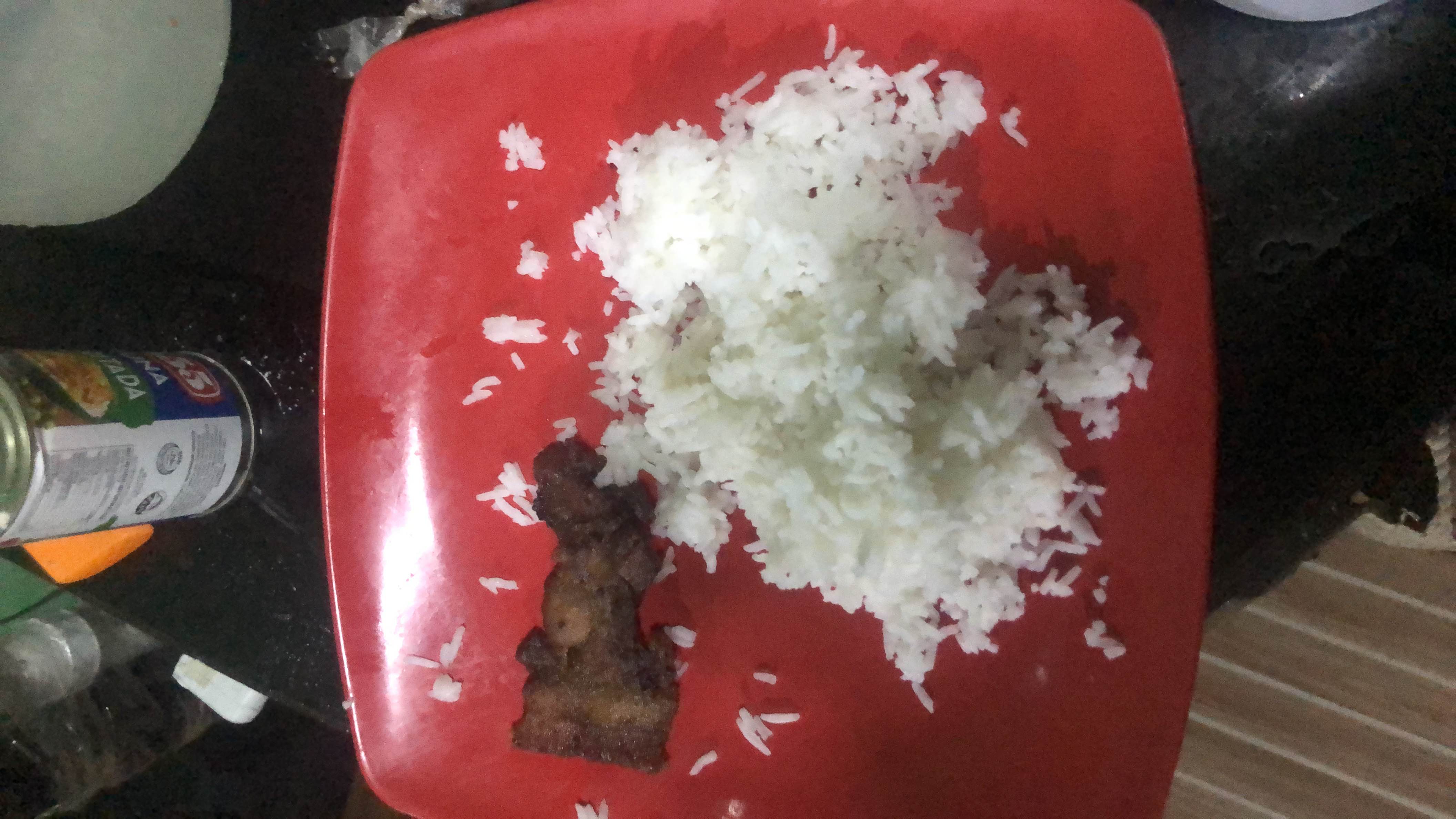 Rice with Fried Meat