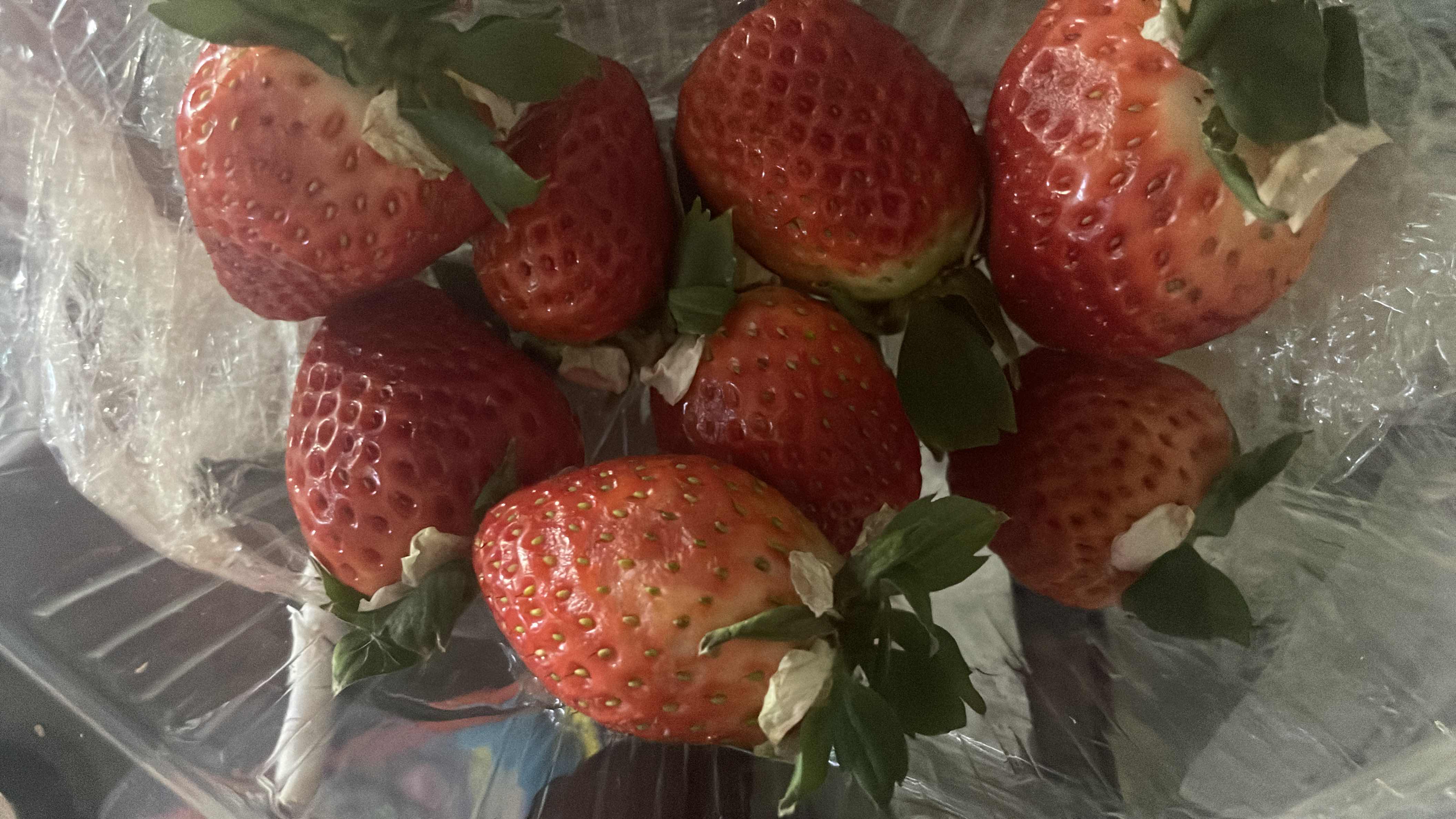 Fresh Strawberries