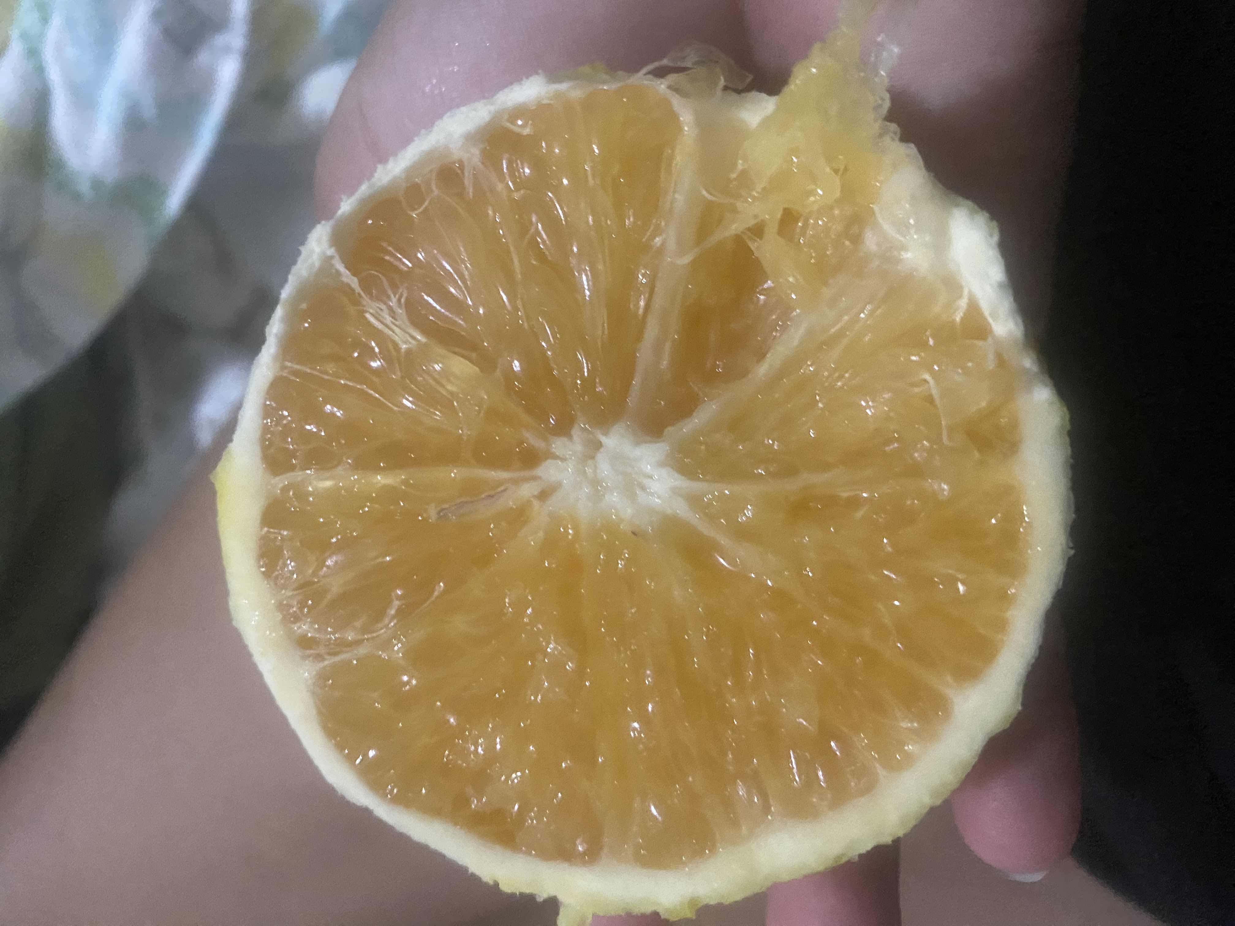Naranja fresca