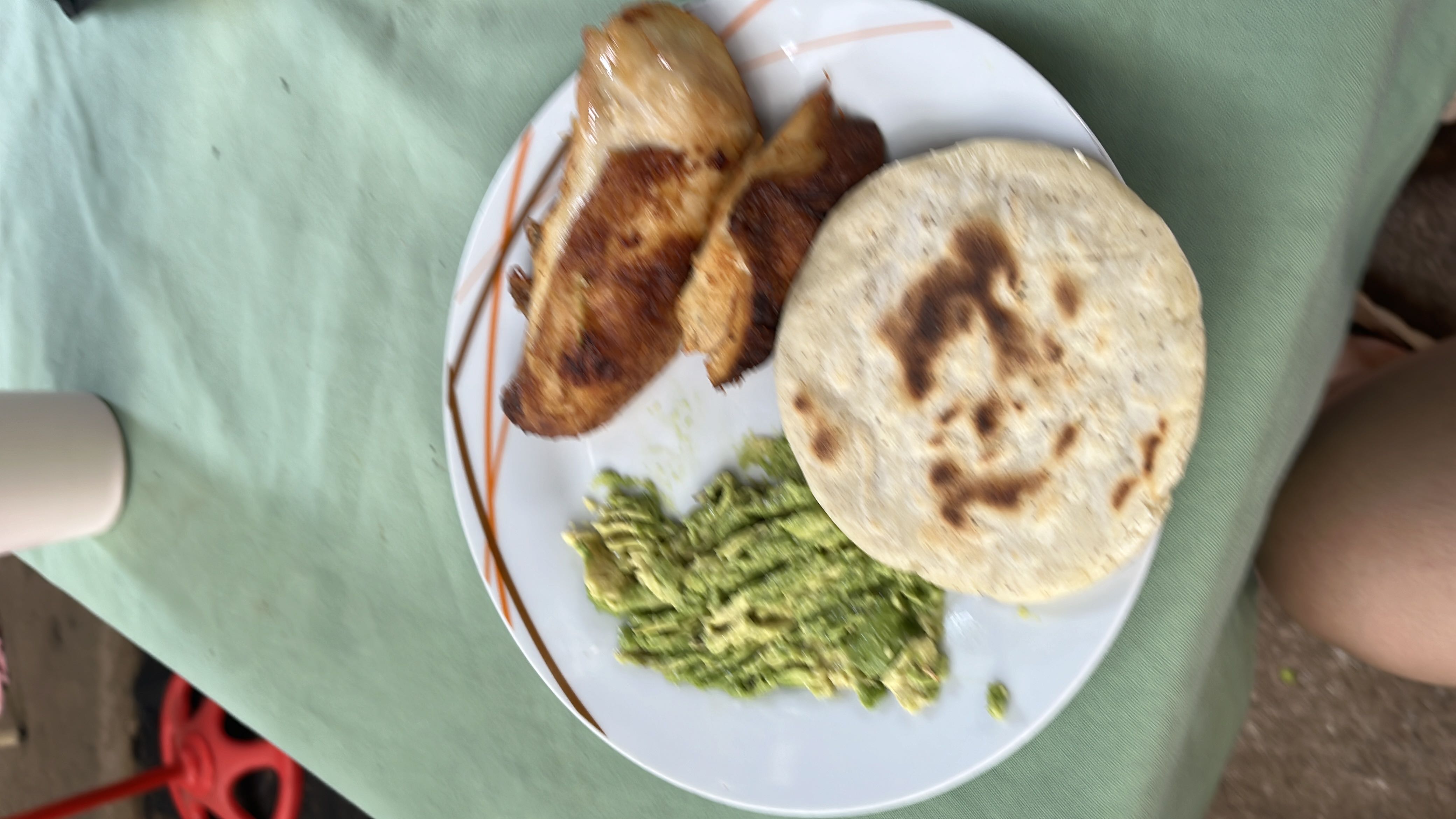 Pollo con aguacate y tortilla