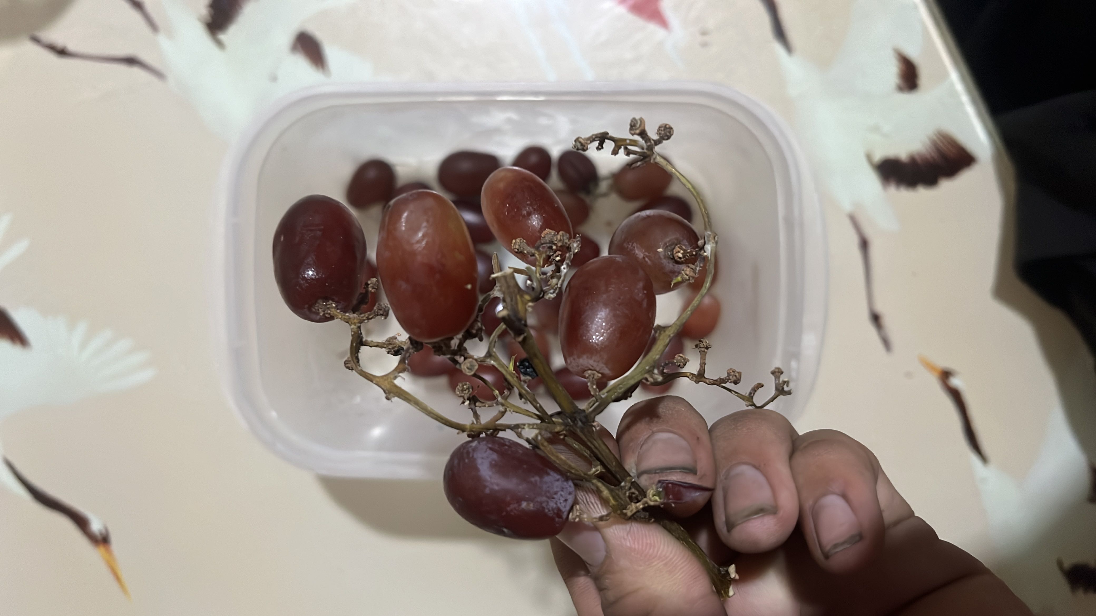 Red Grapes