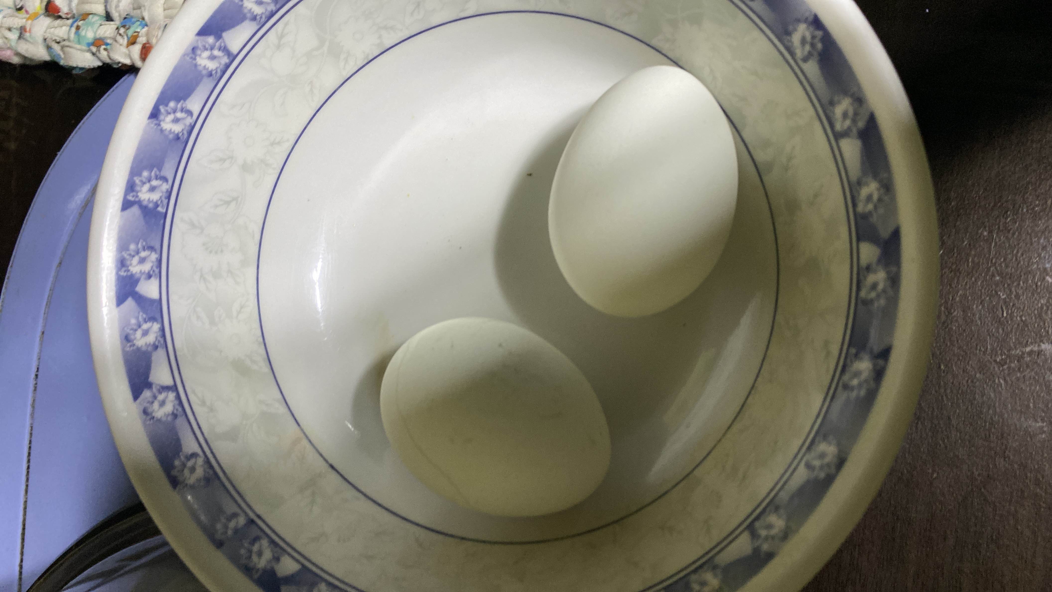 Boiled Eggs