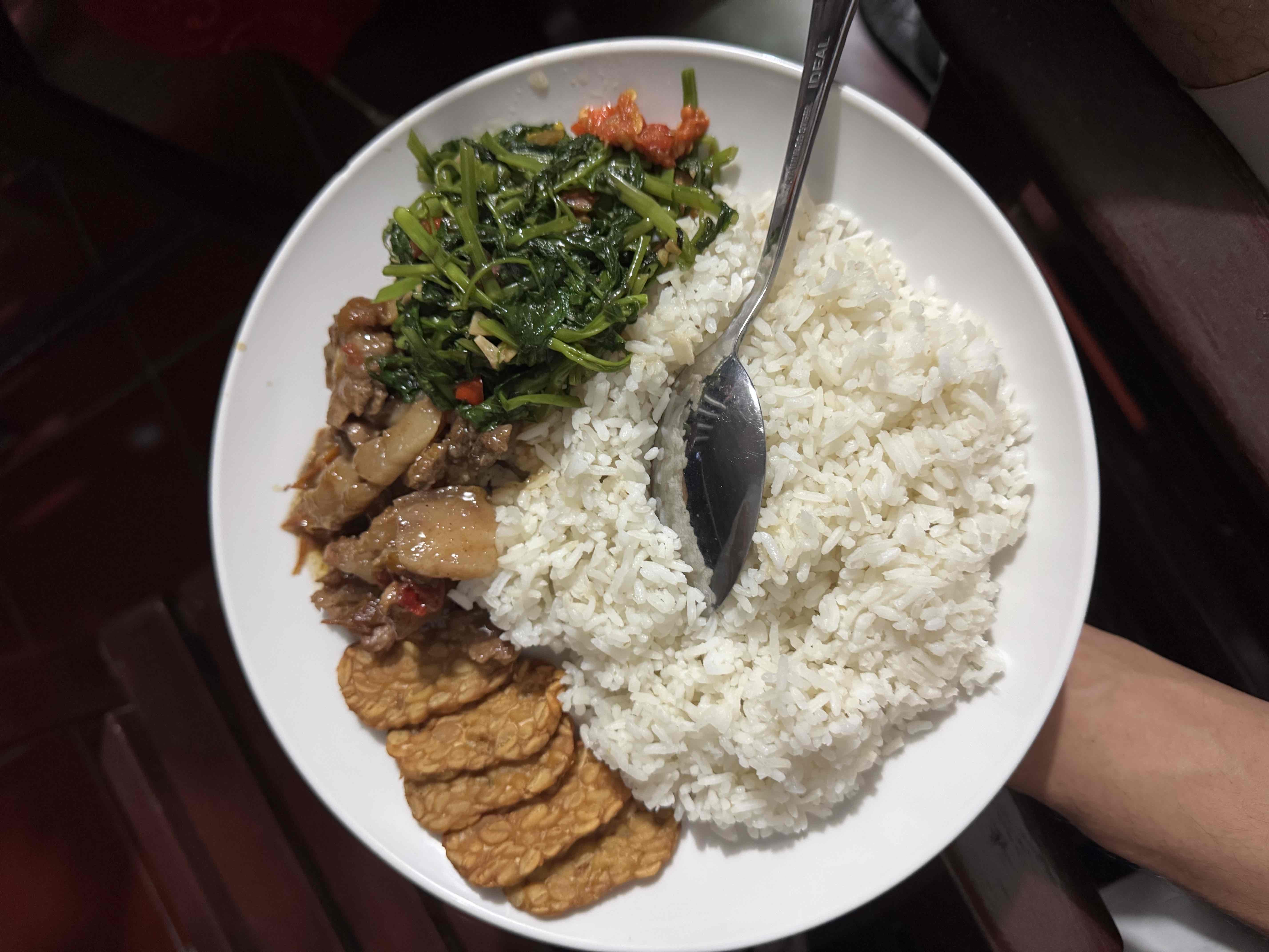 Rice with Tempeh and Pork