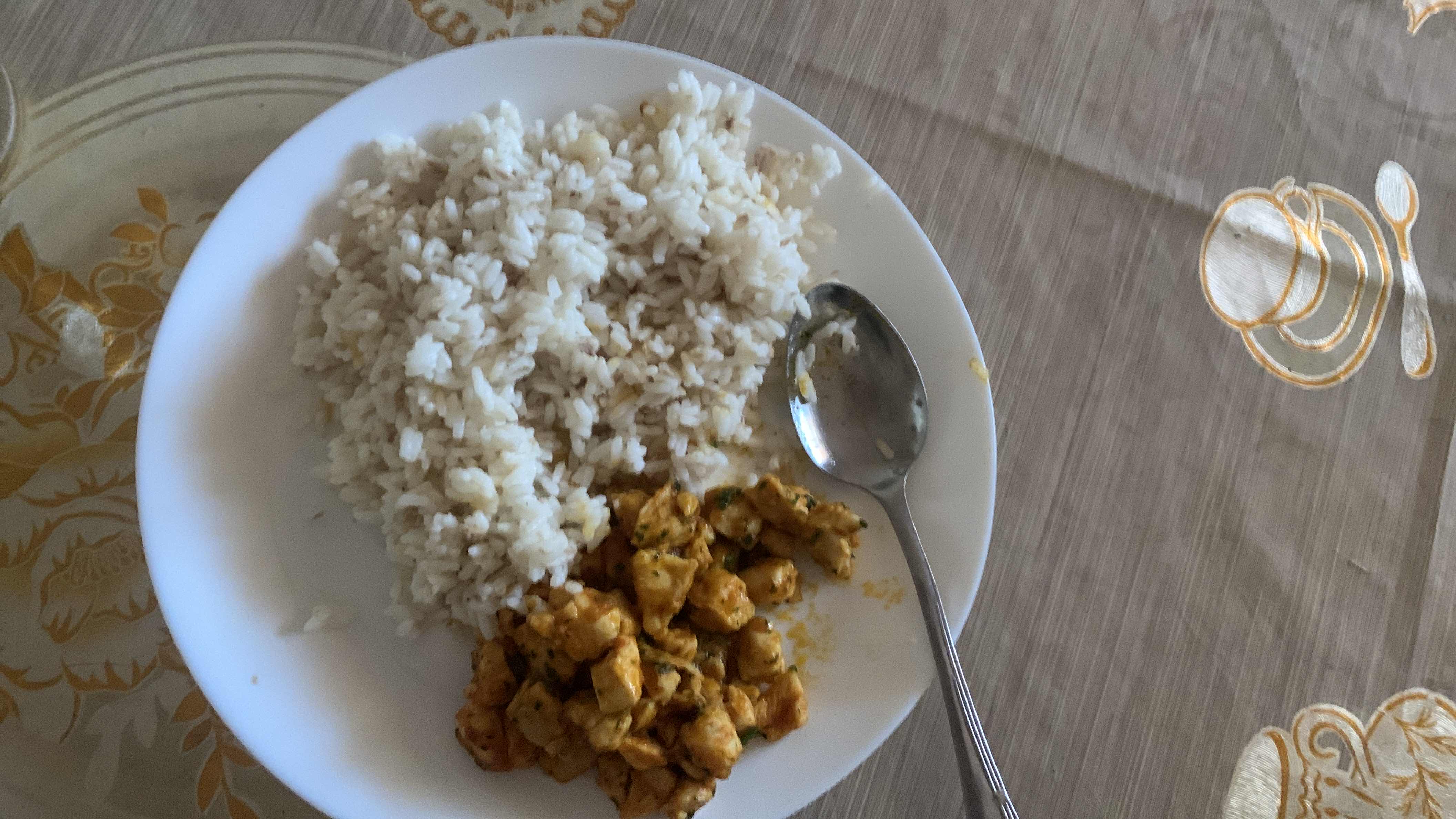 Riz avec poulet épicé