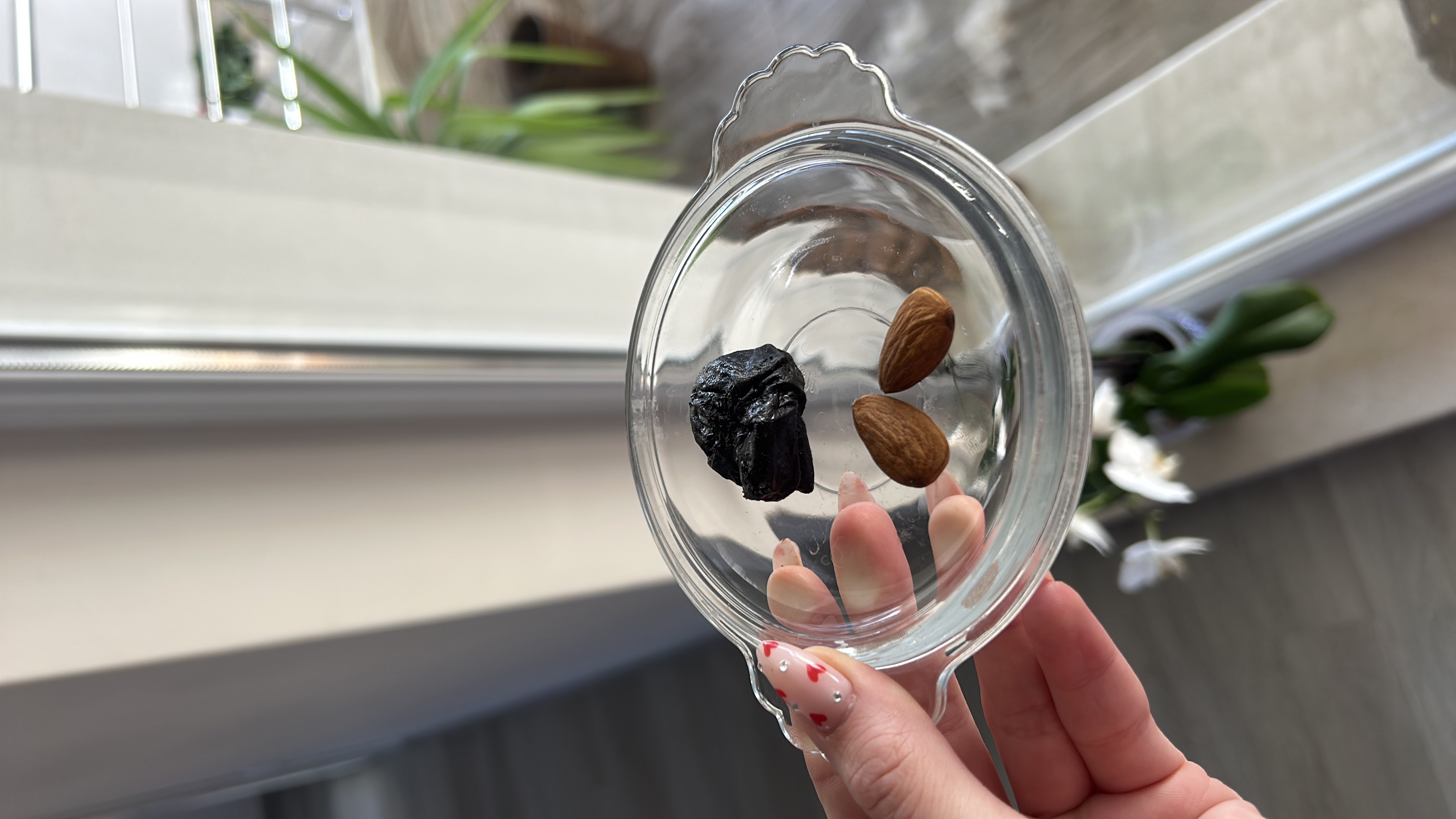 Prune and Almond Snack