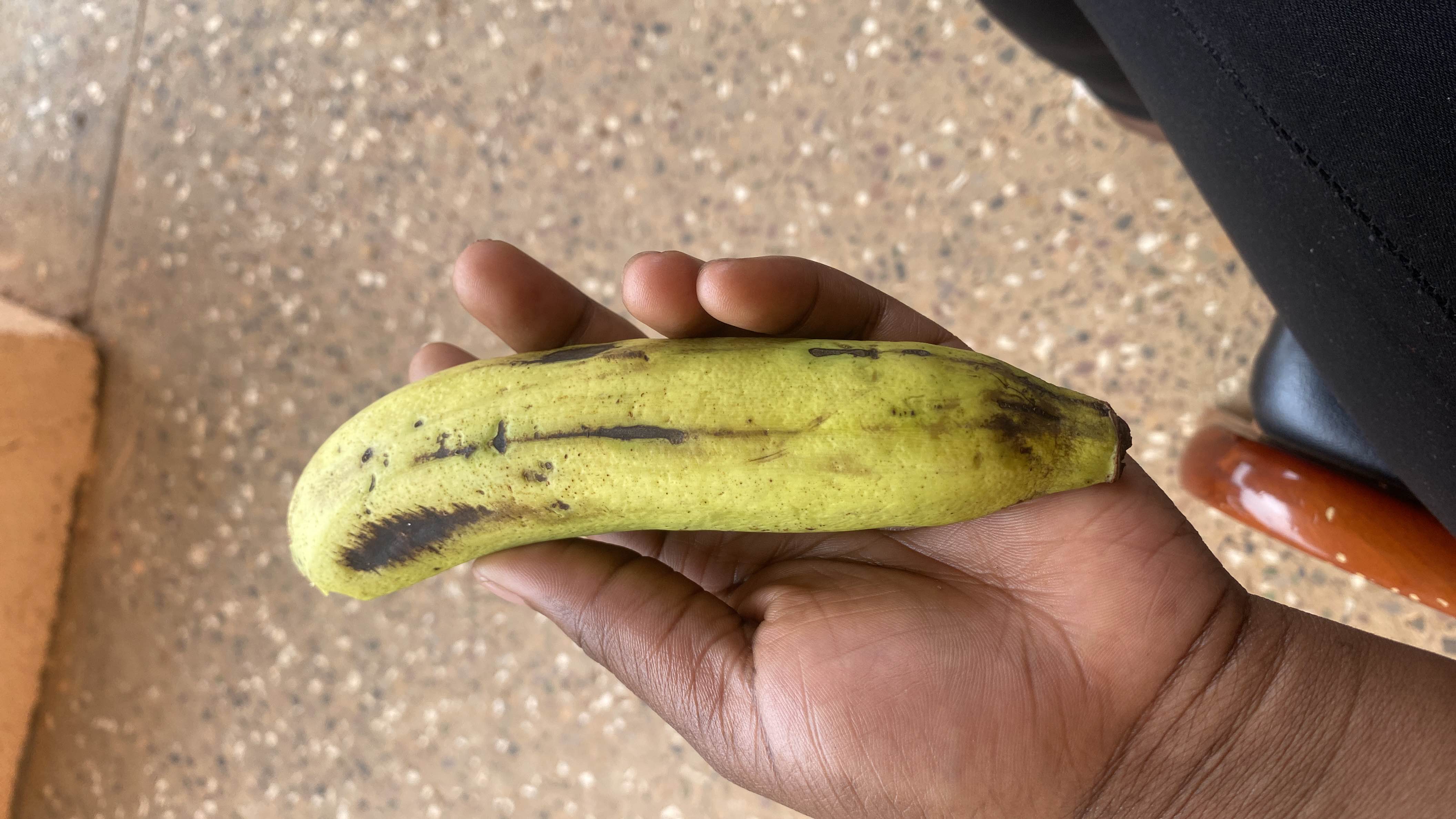 Small Unripe Banana