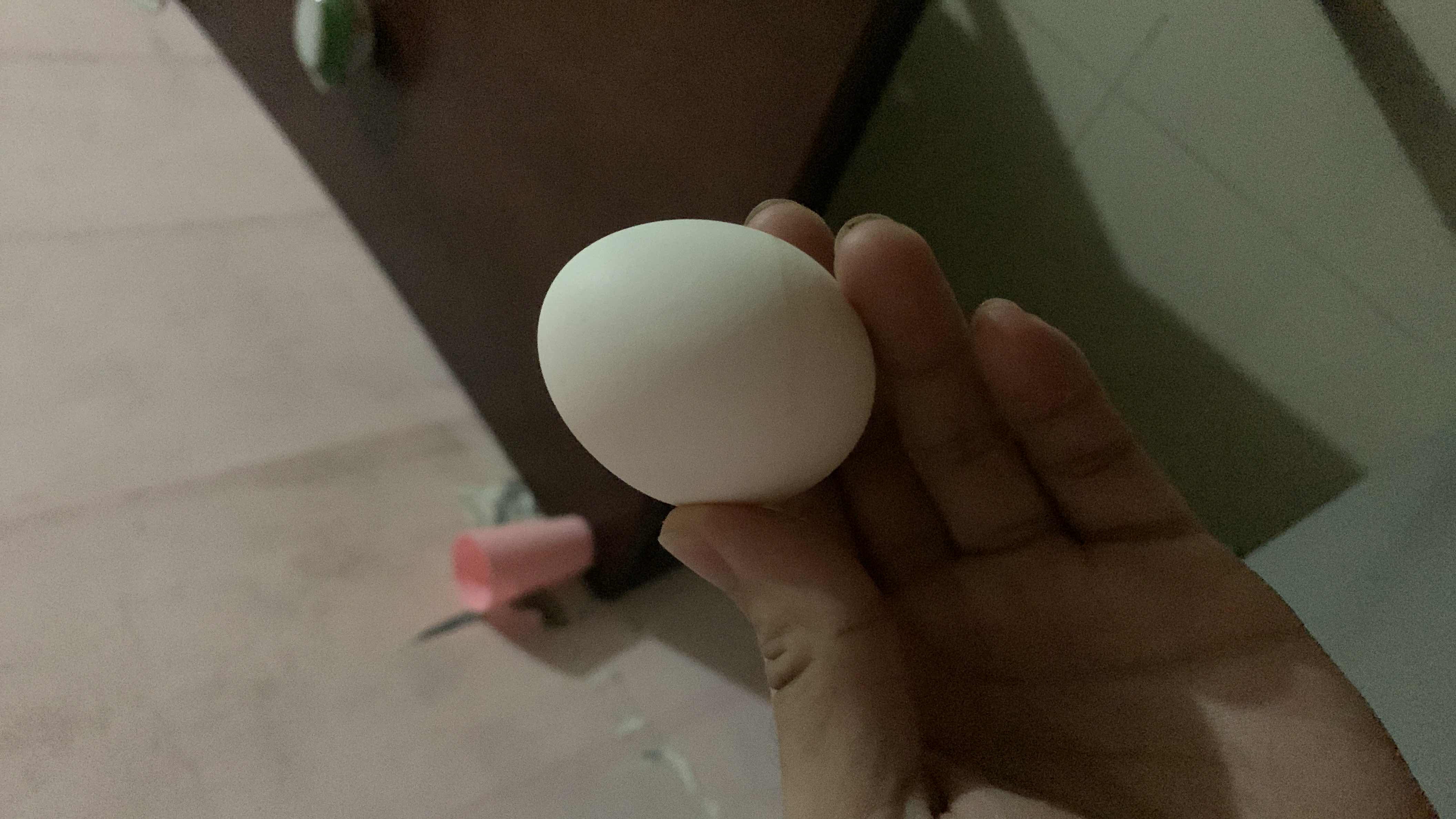 Boiled Egg