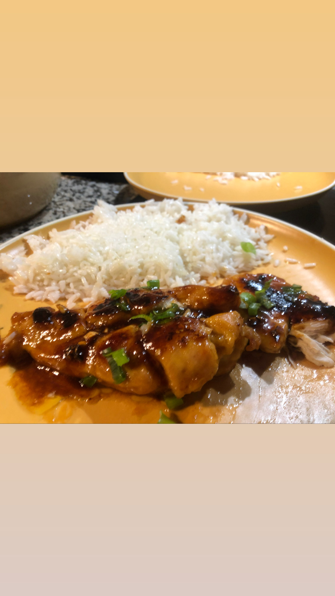Tavuk Teriyaki ve Pilav