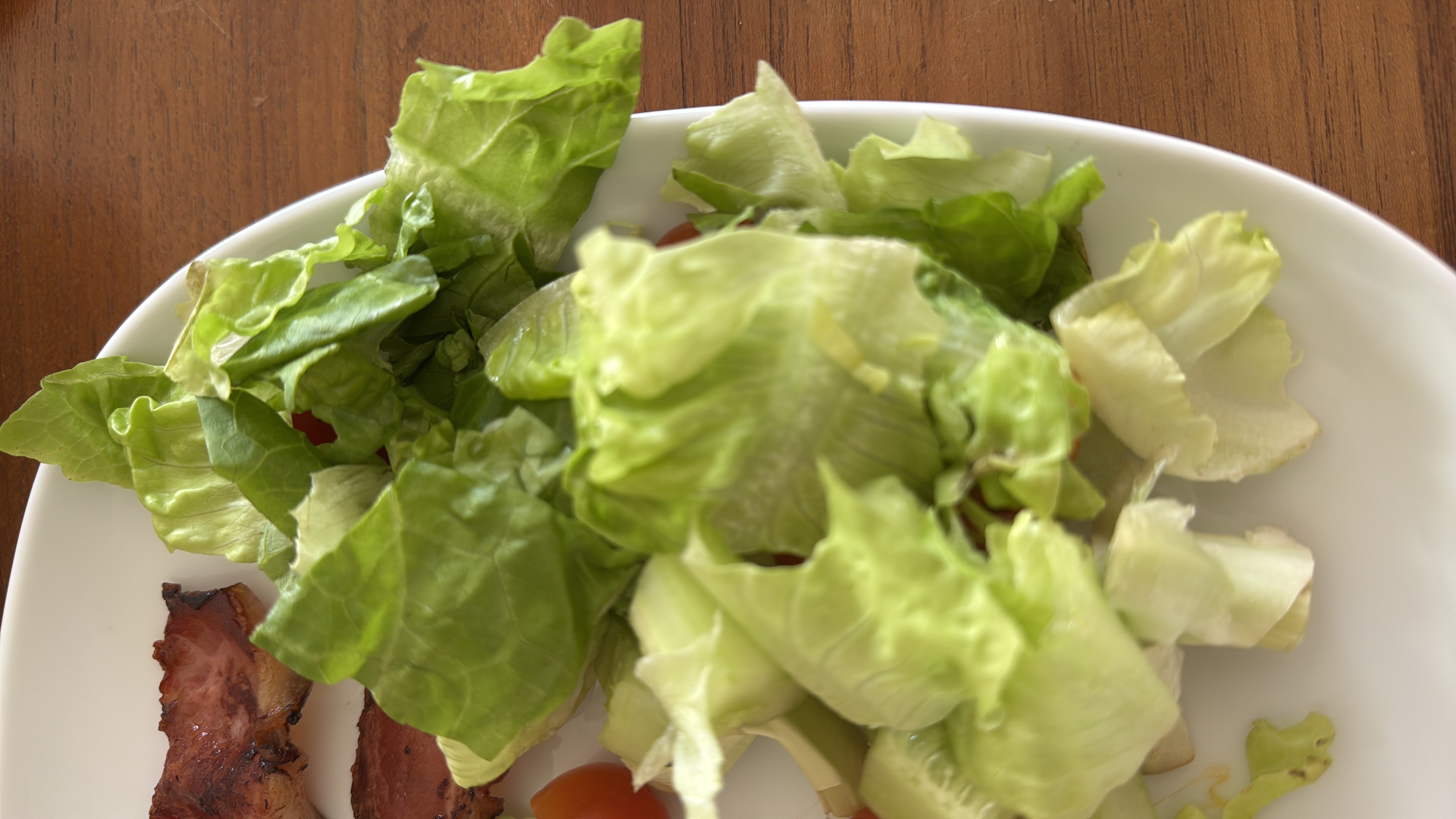 Grilled Meat with Salad