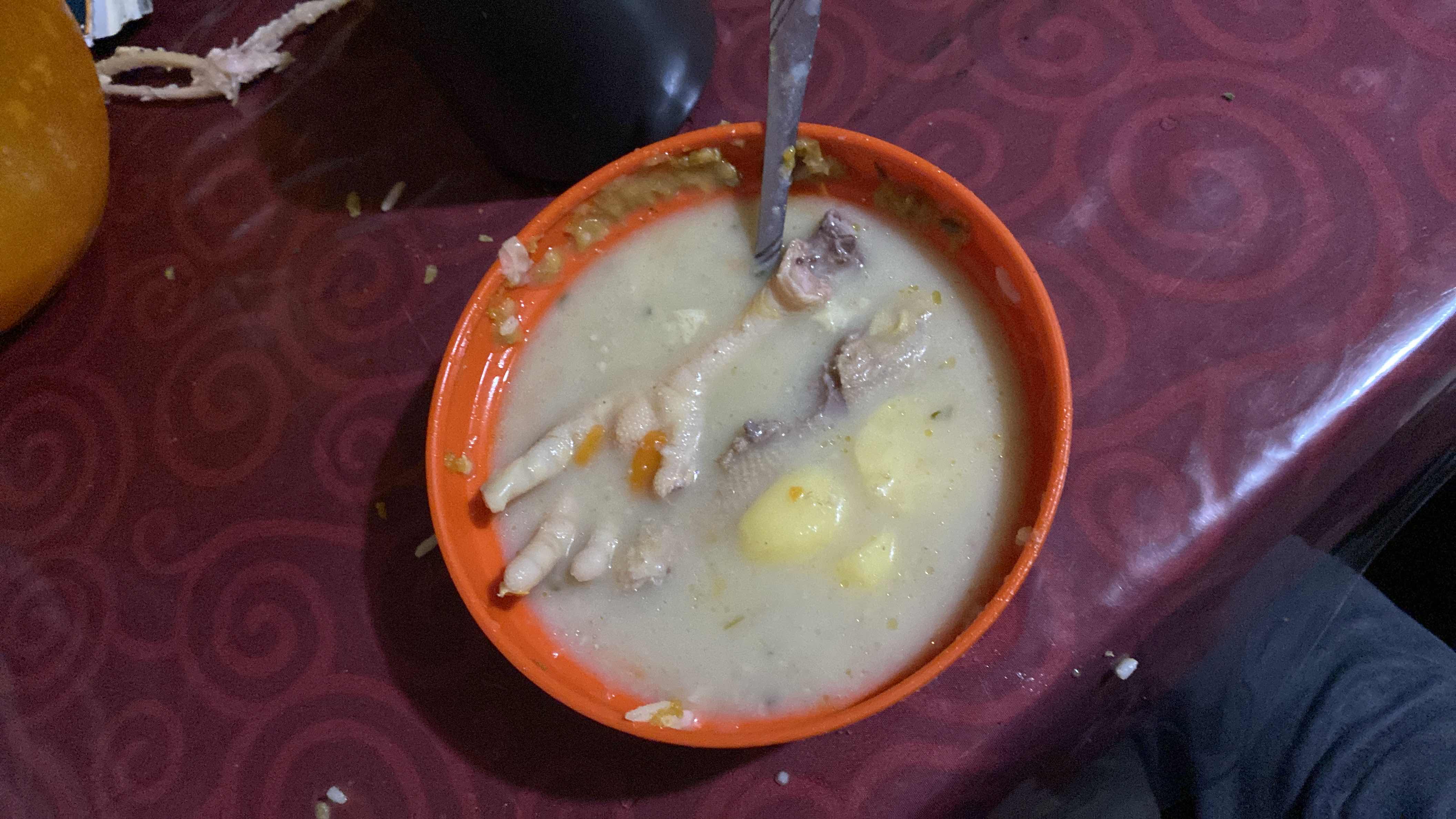 Caldo de pata