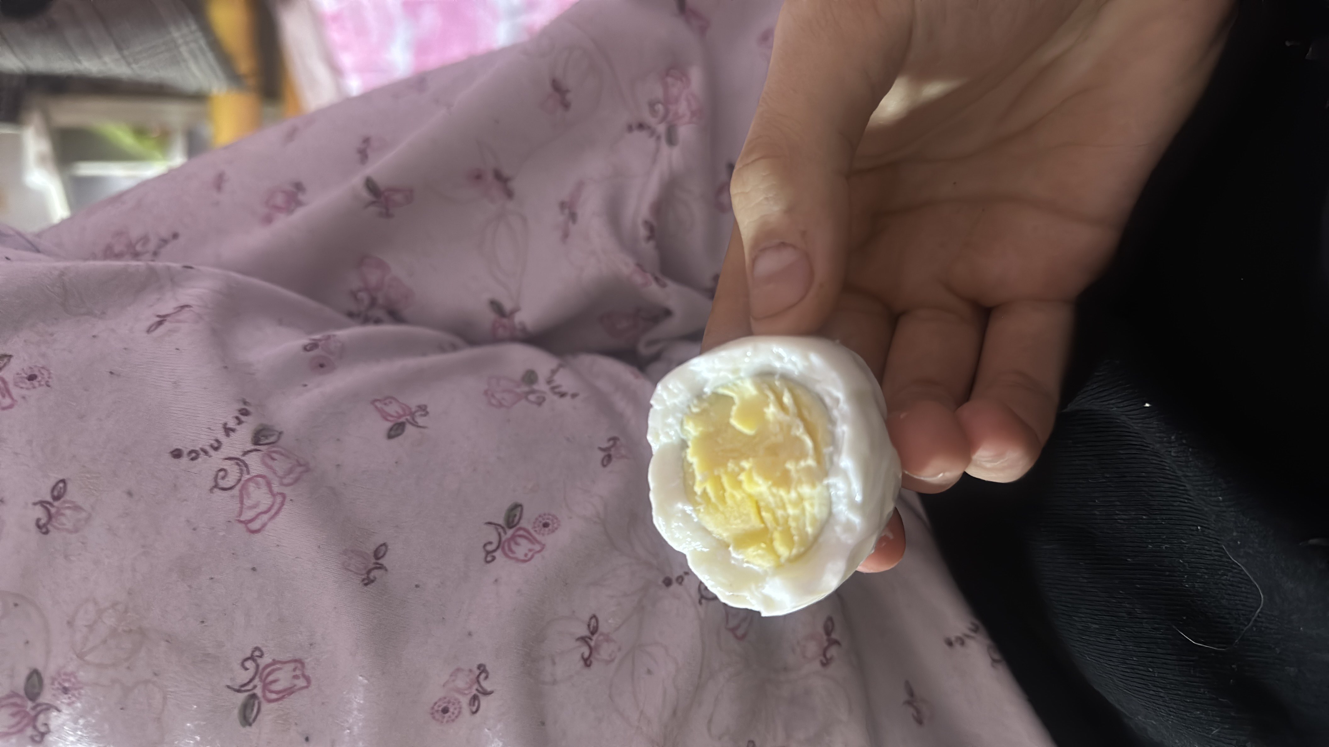 Boiled Egg