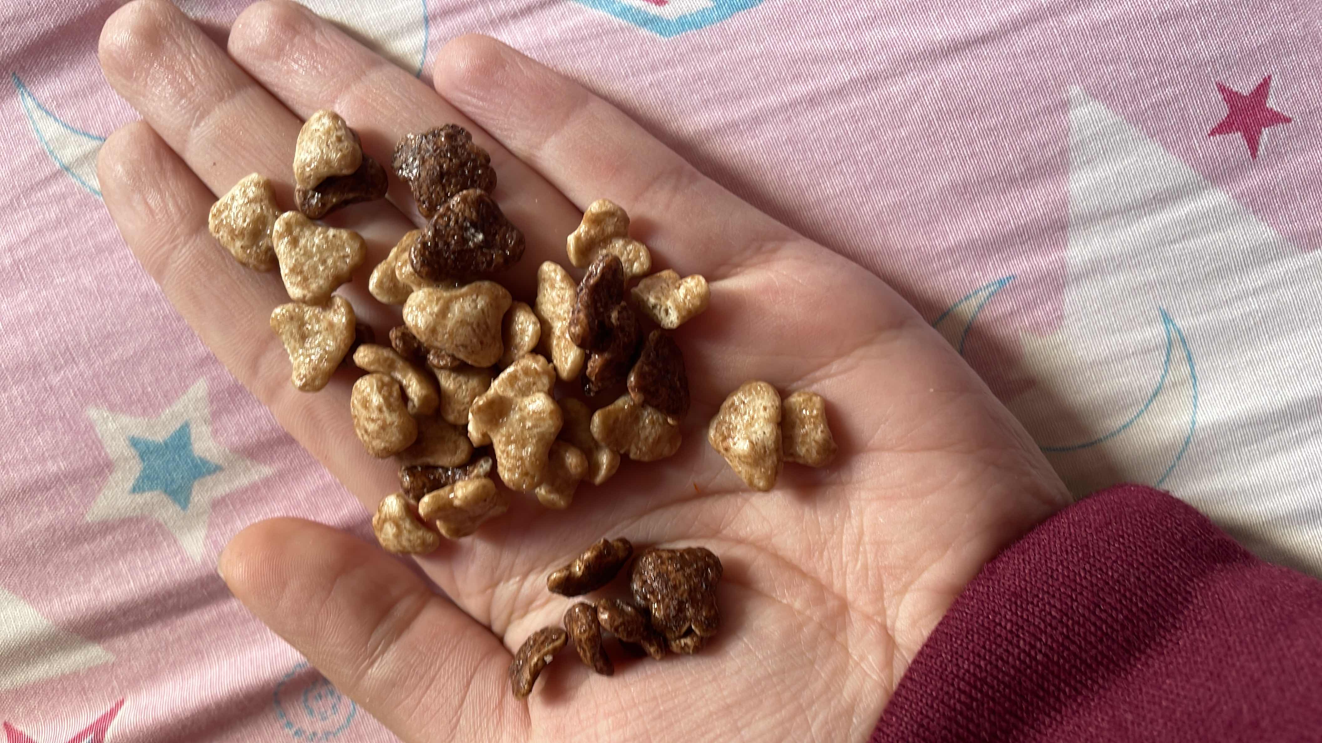 Chocolate Cereal Snack