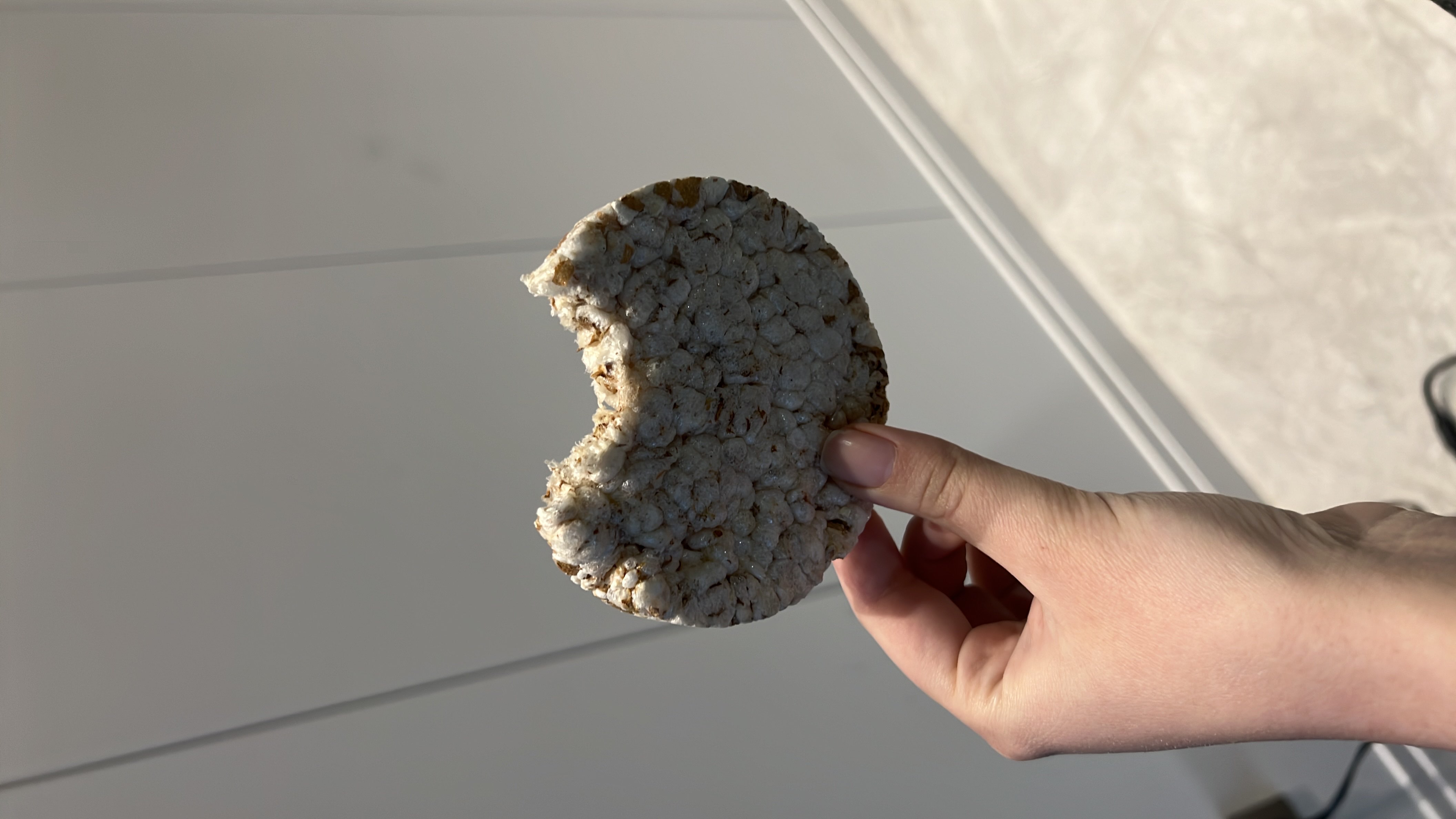 Rice Cake