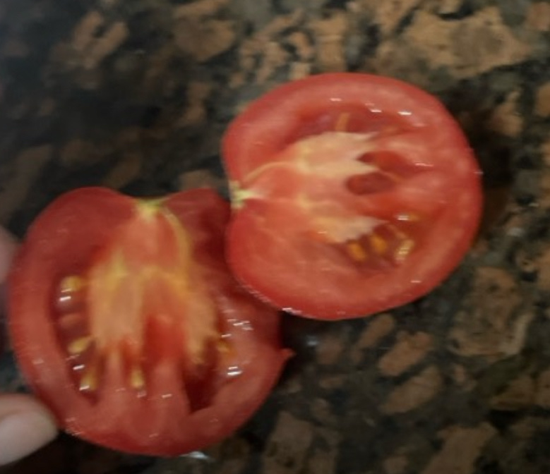 Fresh Tomato
