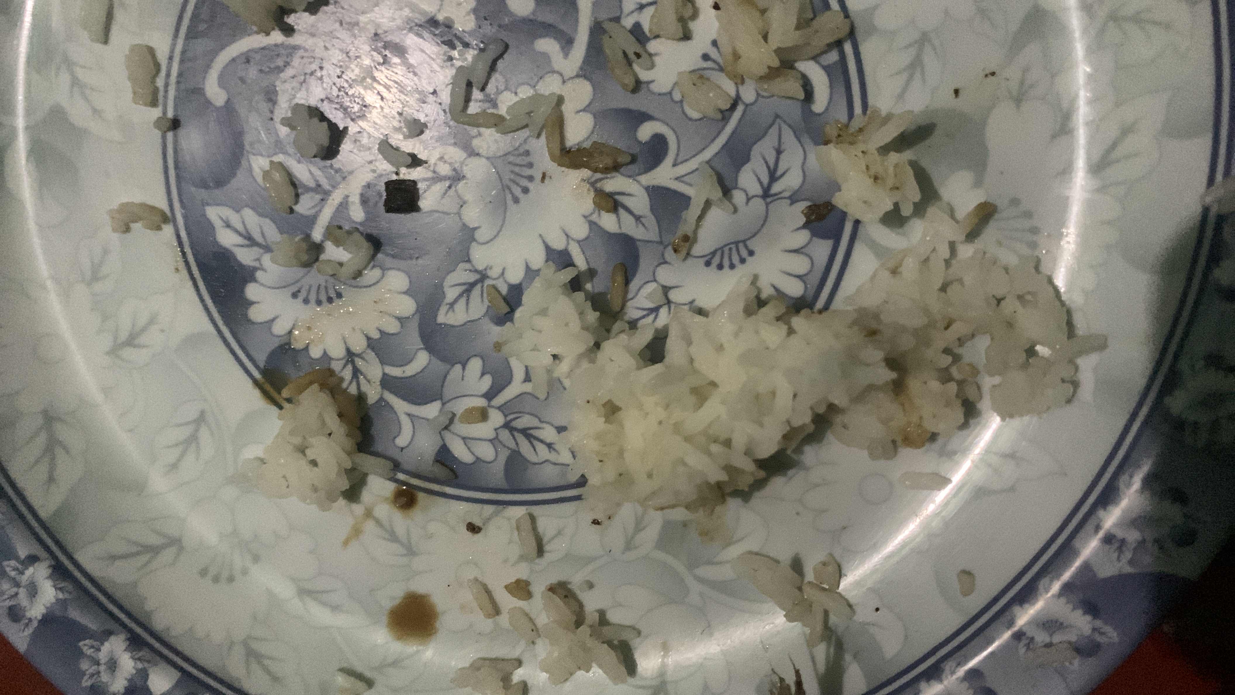 Leftover Rice