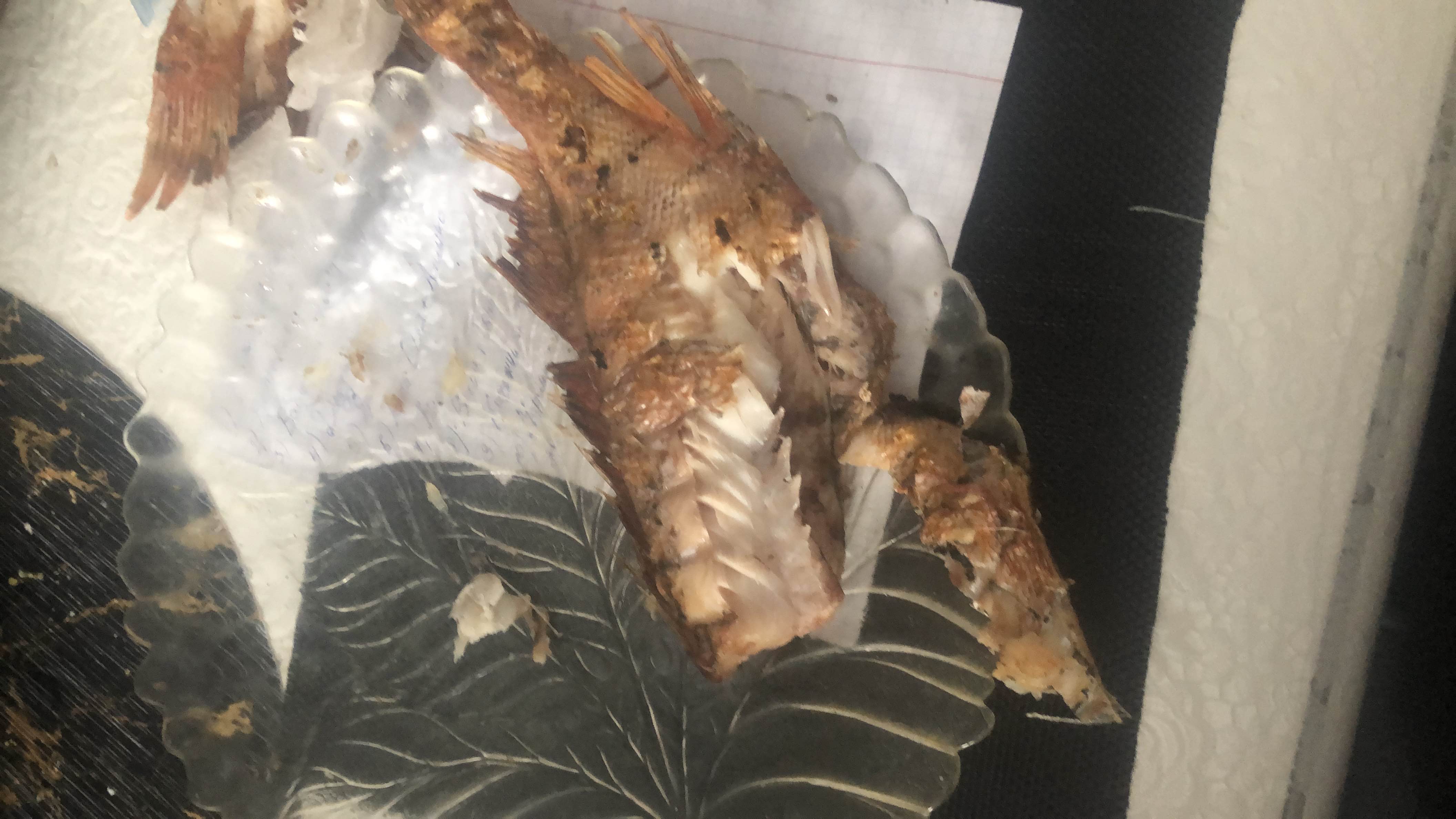 Grilled Fish