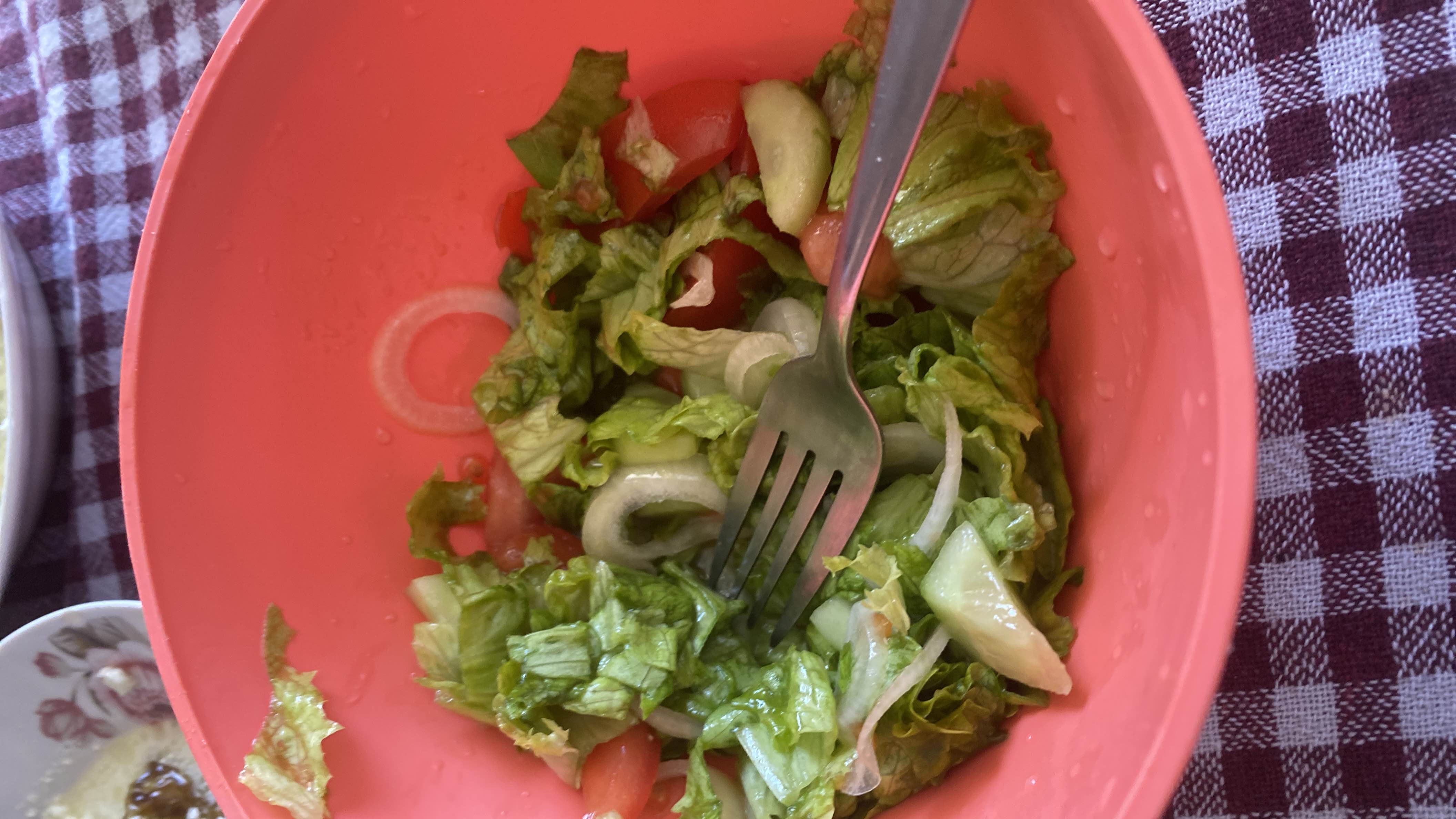 Fresh Vegetable Salad