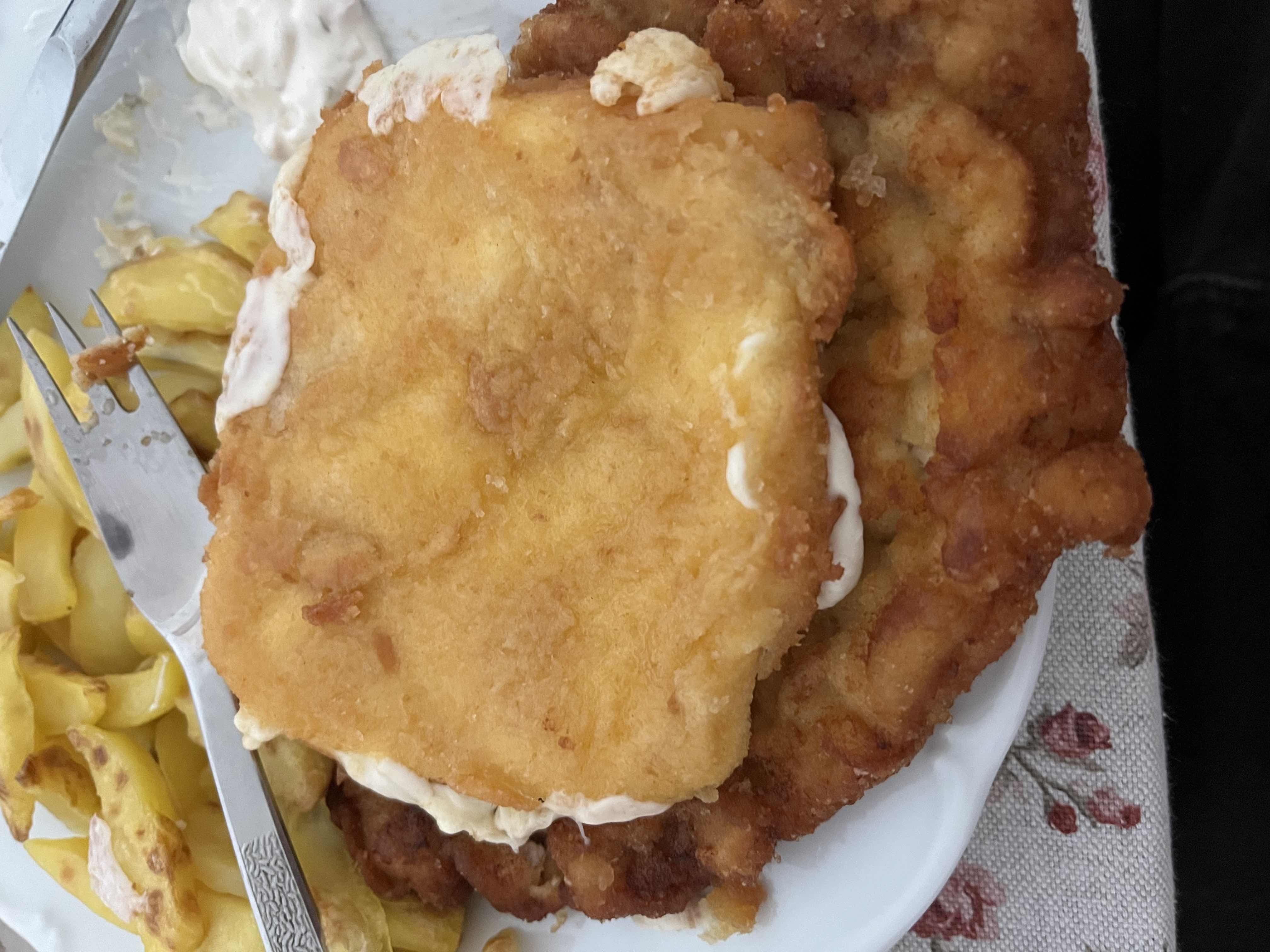 Fried Schnitzel with Fries