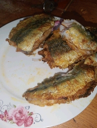 Fried Sardines