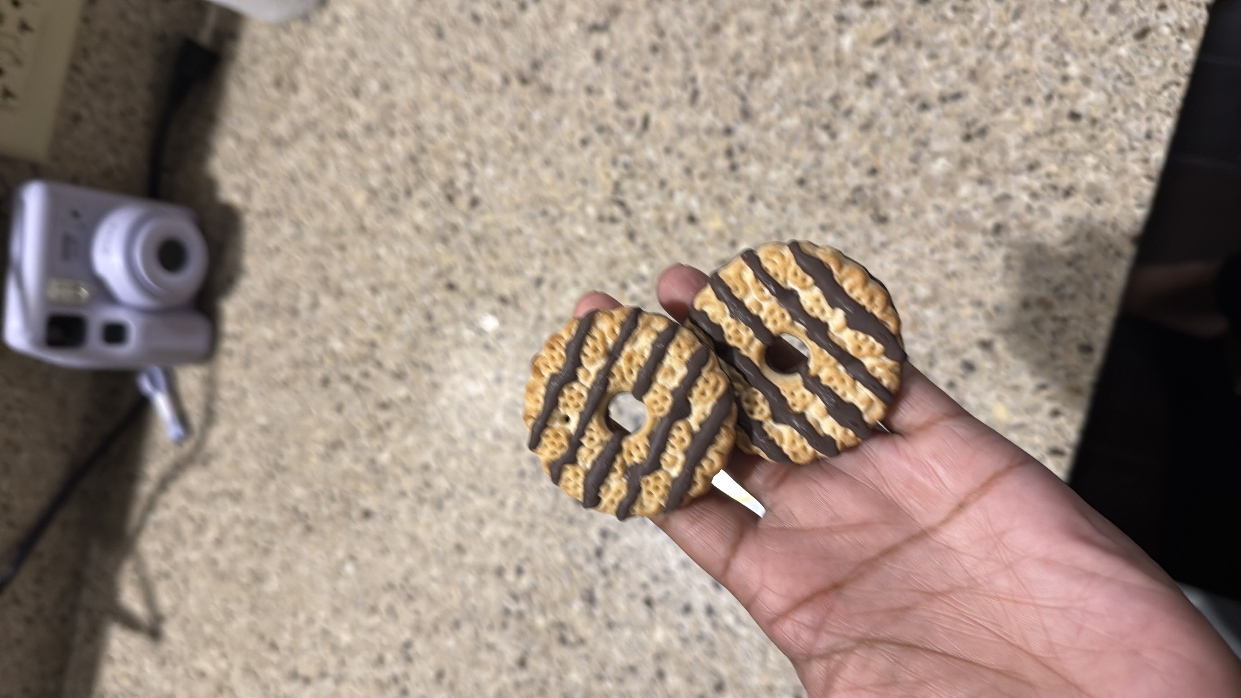 Chocolate Drizzled Cookies