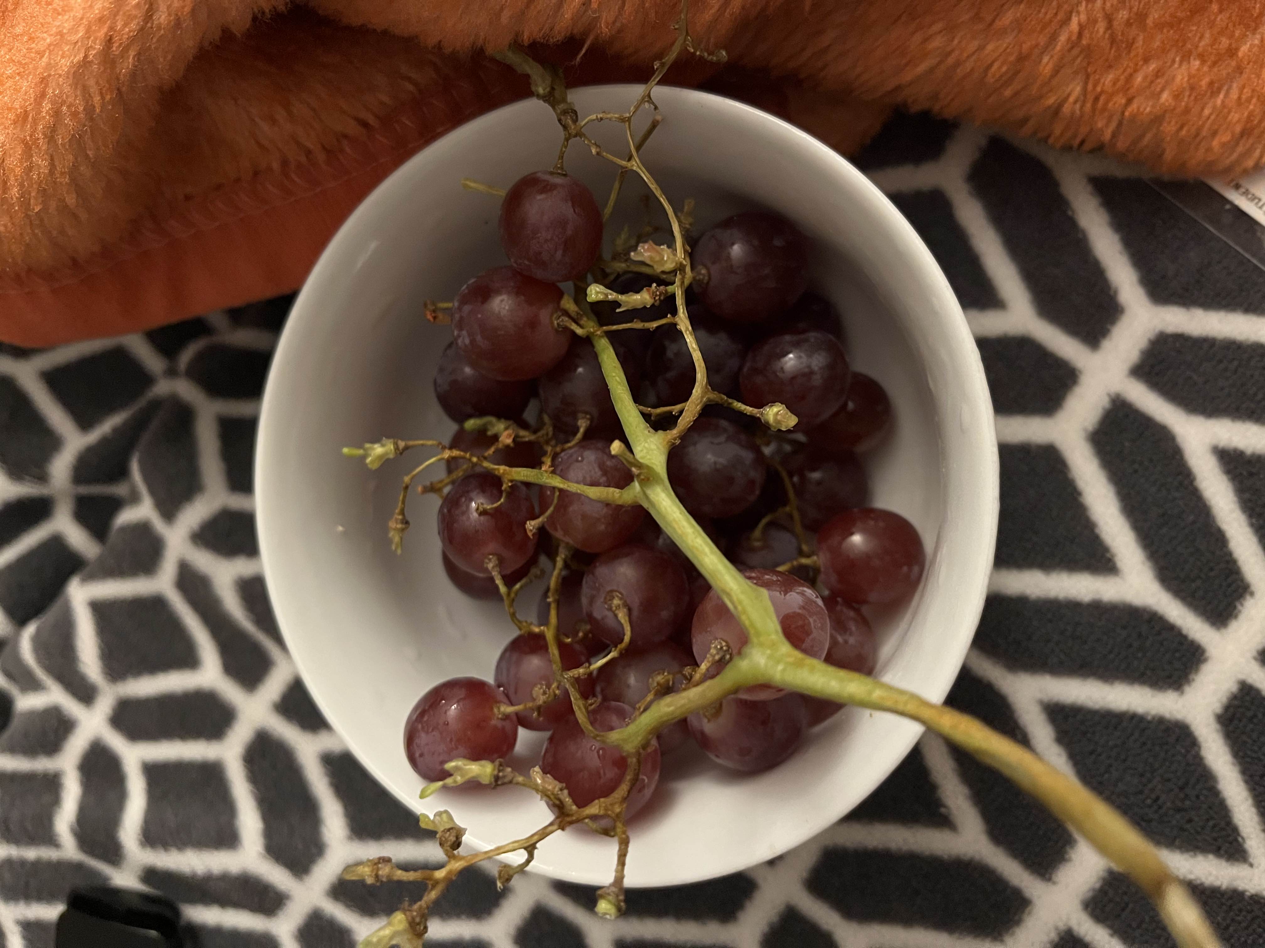 Red Grapes Bowl