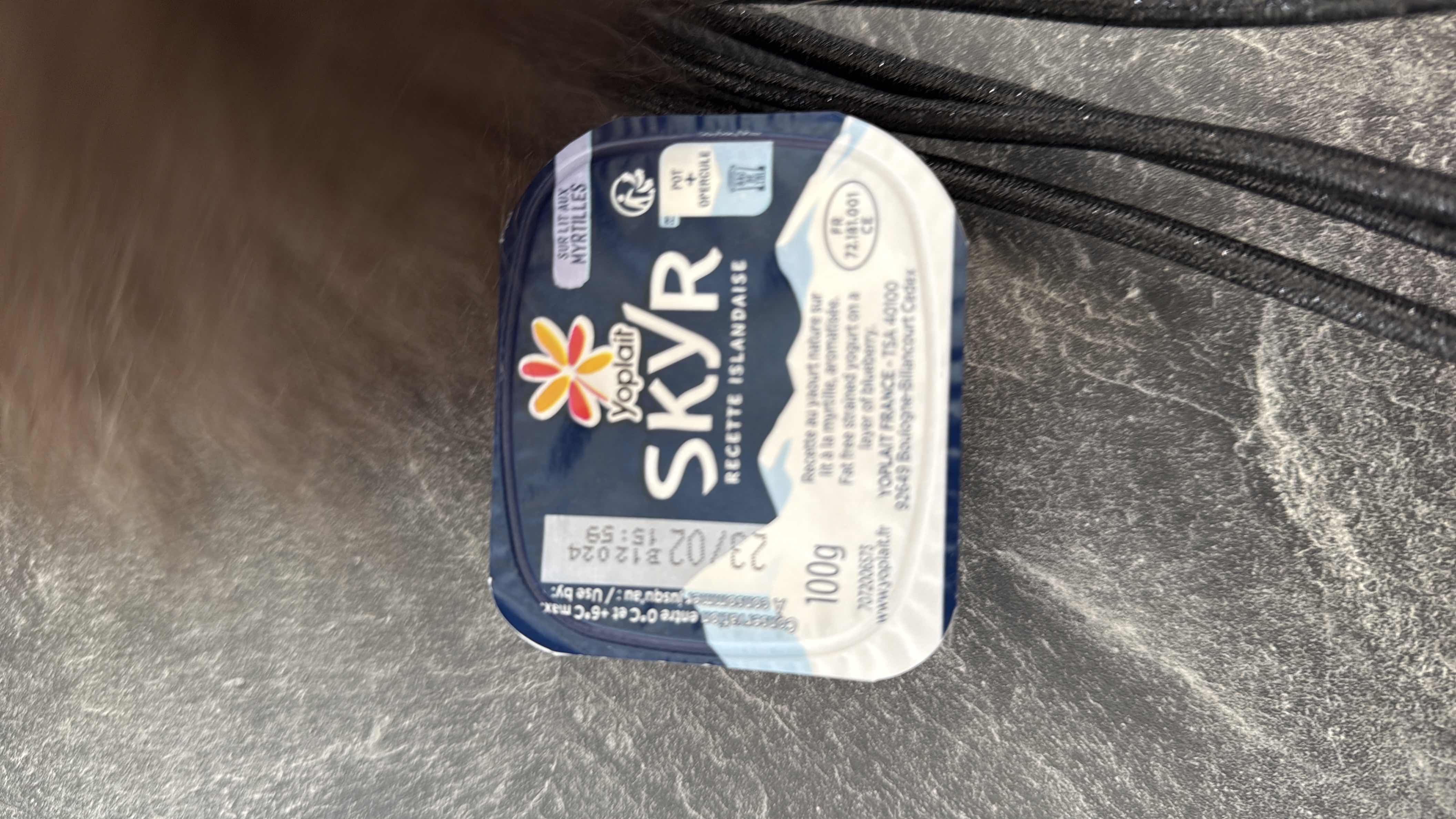 Skyr sur lit de myrtilles