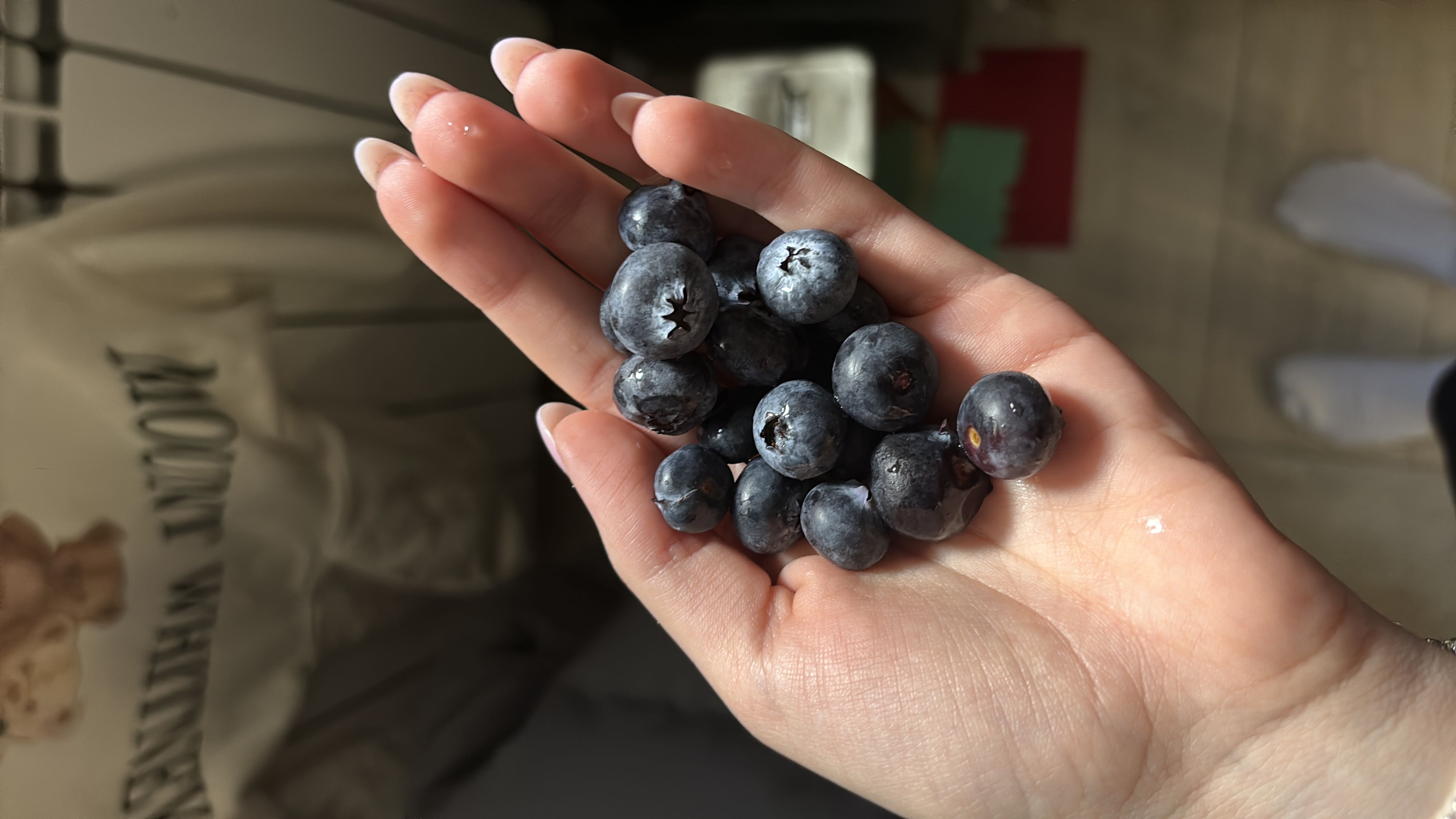 Fresh Blueberries
