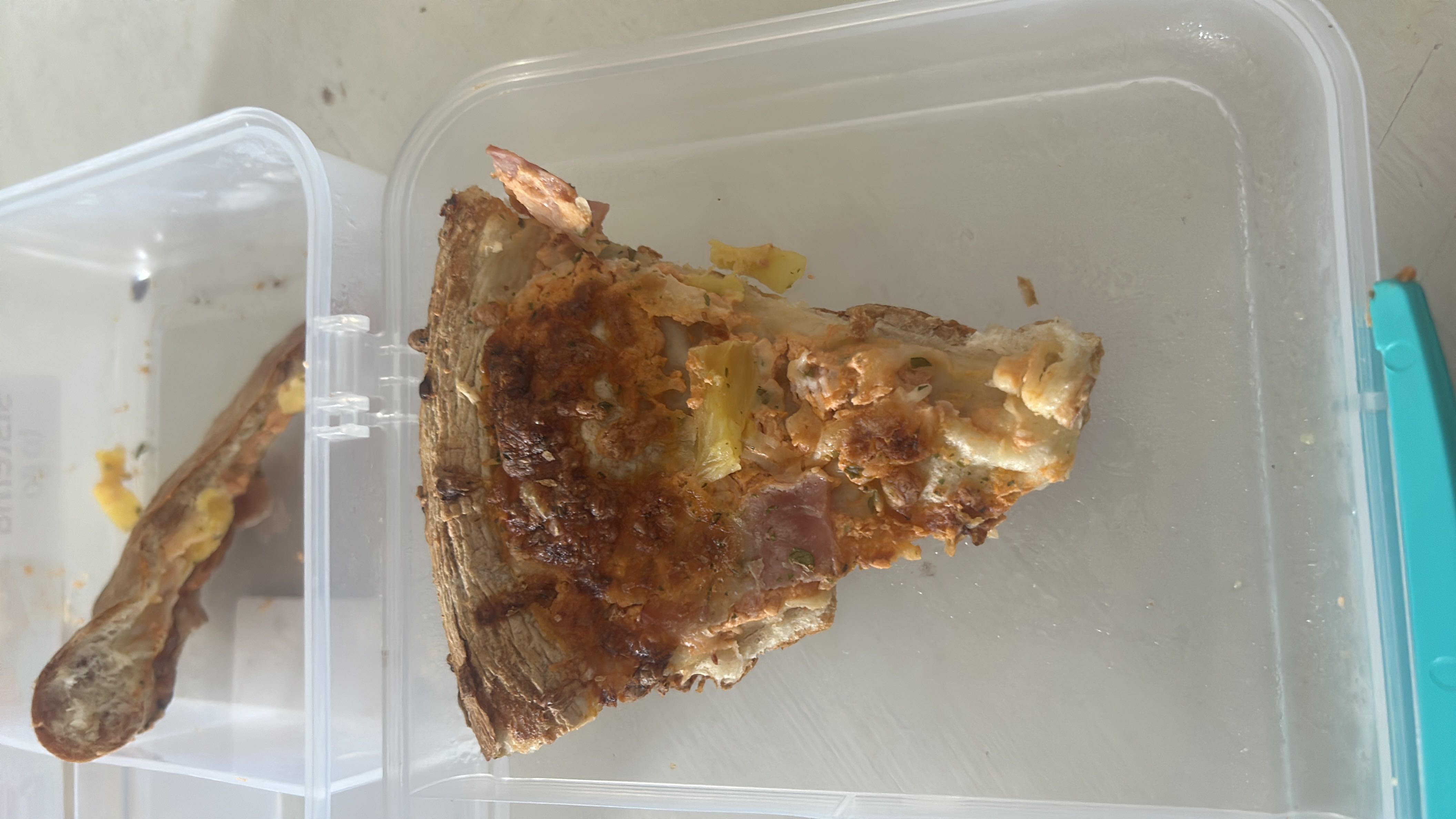 Hawaiian Pizza Slice