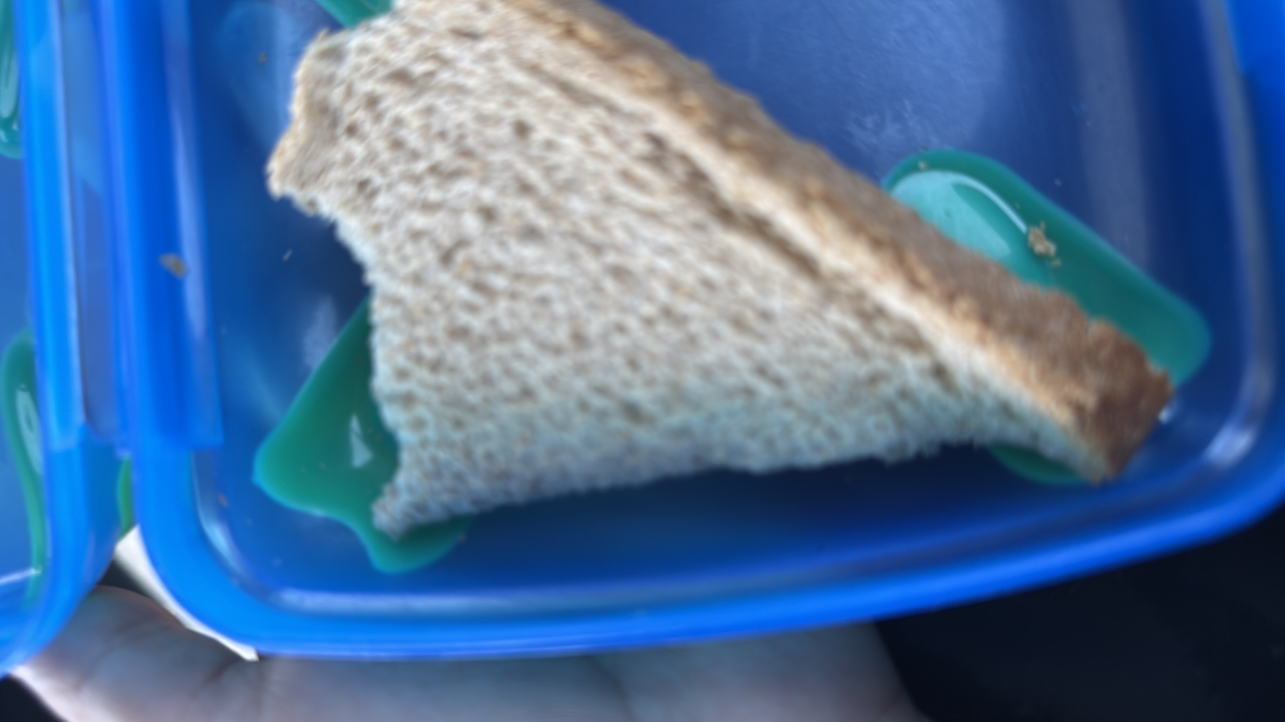 Peanut Butter Sandwich