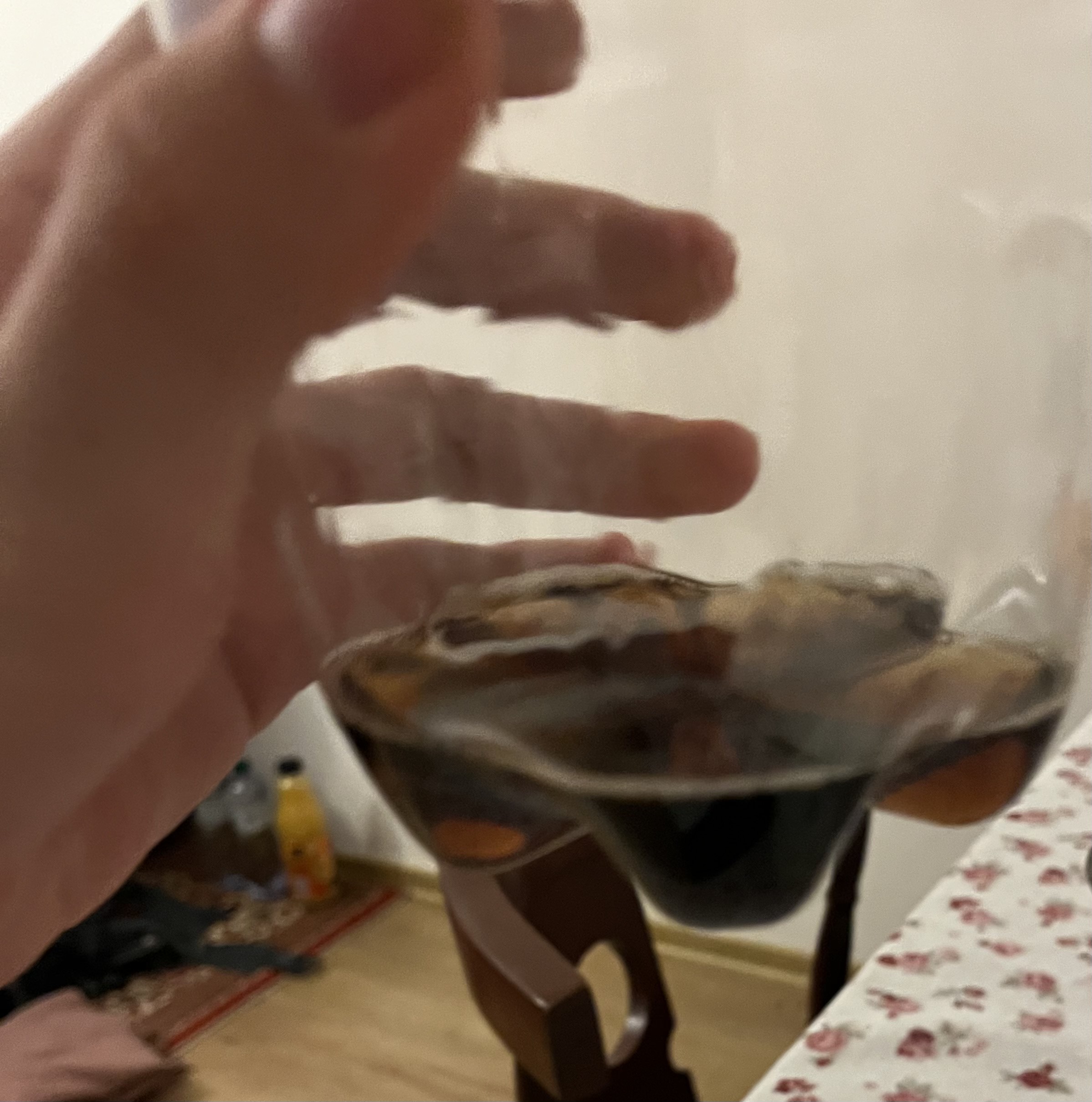 Carbonated Soft Drink