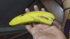 Banana
