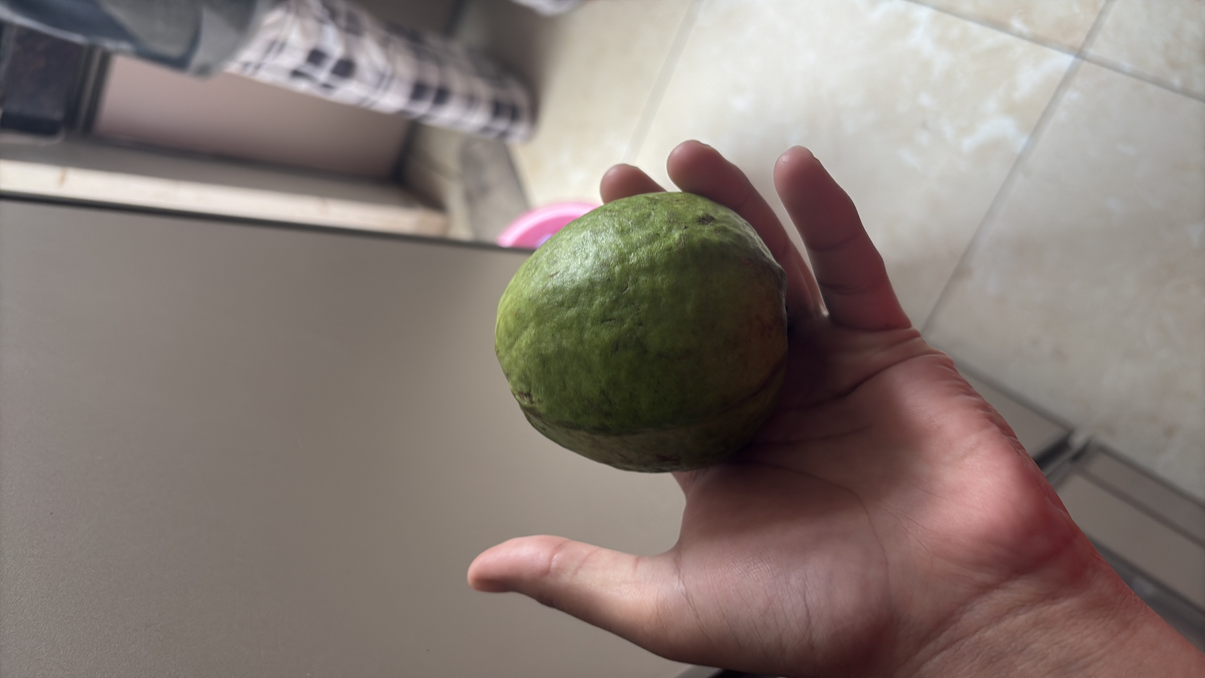 Guava